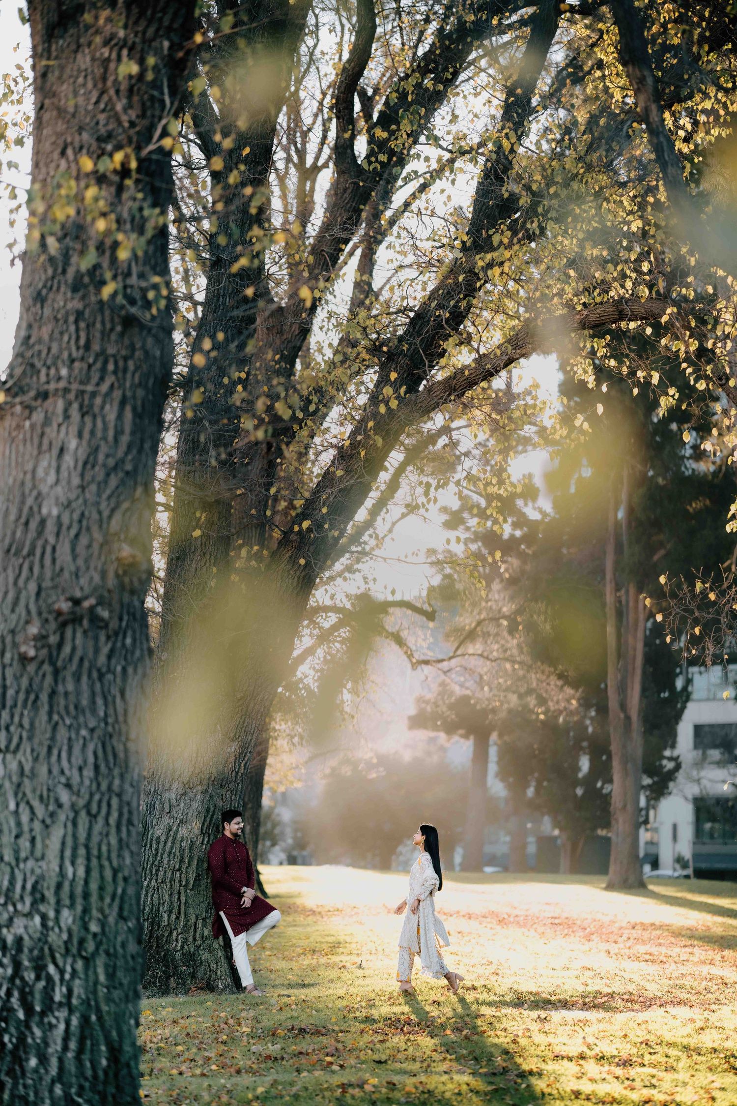 Couple in traditional Indian attire posing near a large tree in a sunlit autumn park.