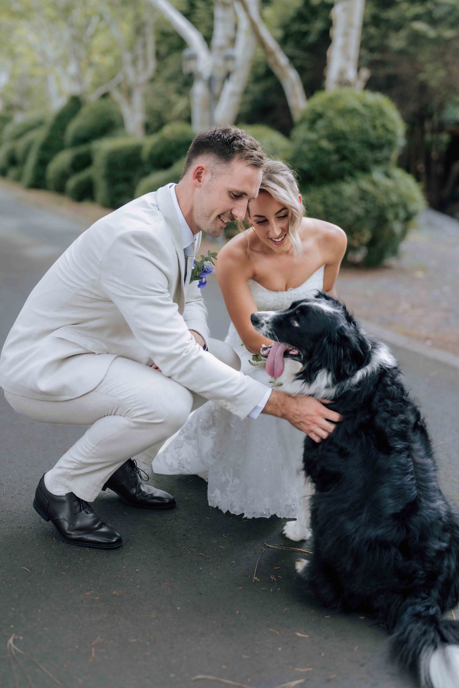 Bride and groom crouching to pet their black and white border collie dog on their wedding day.