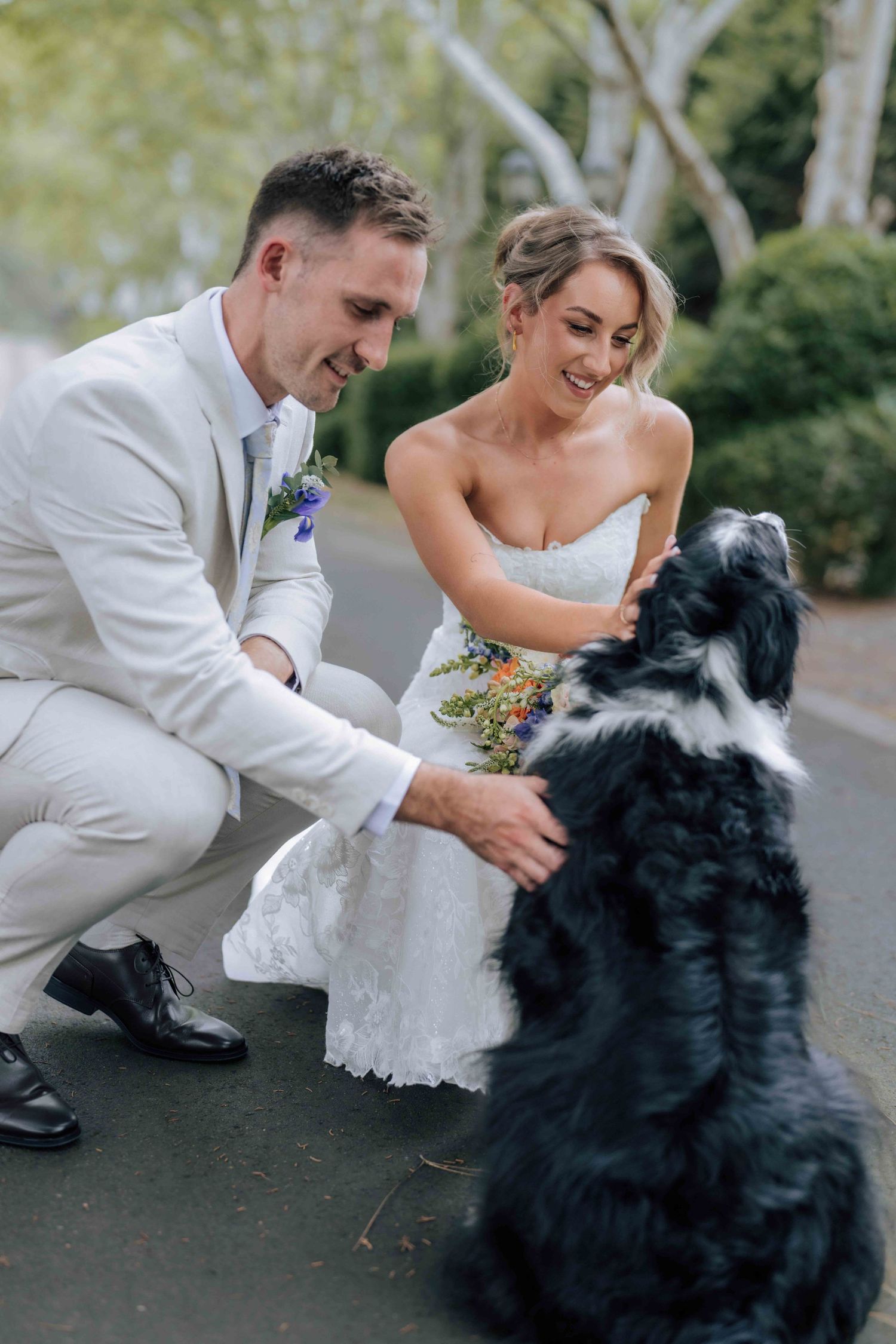 Newlywed couple in wedding attire crouching to pet black and white dog outdoors.