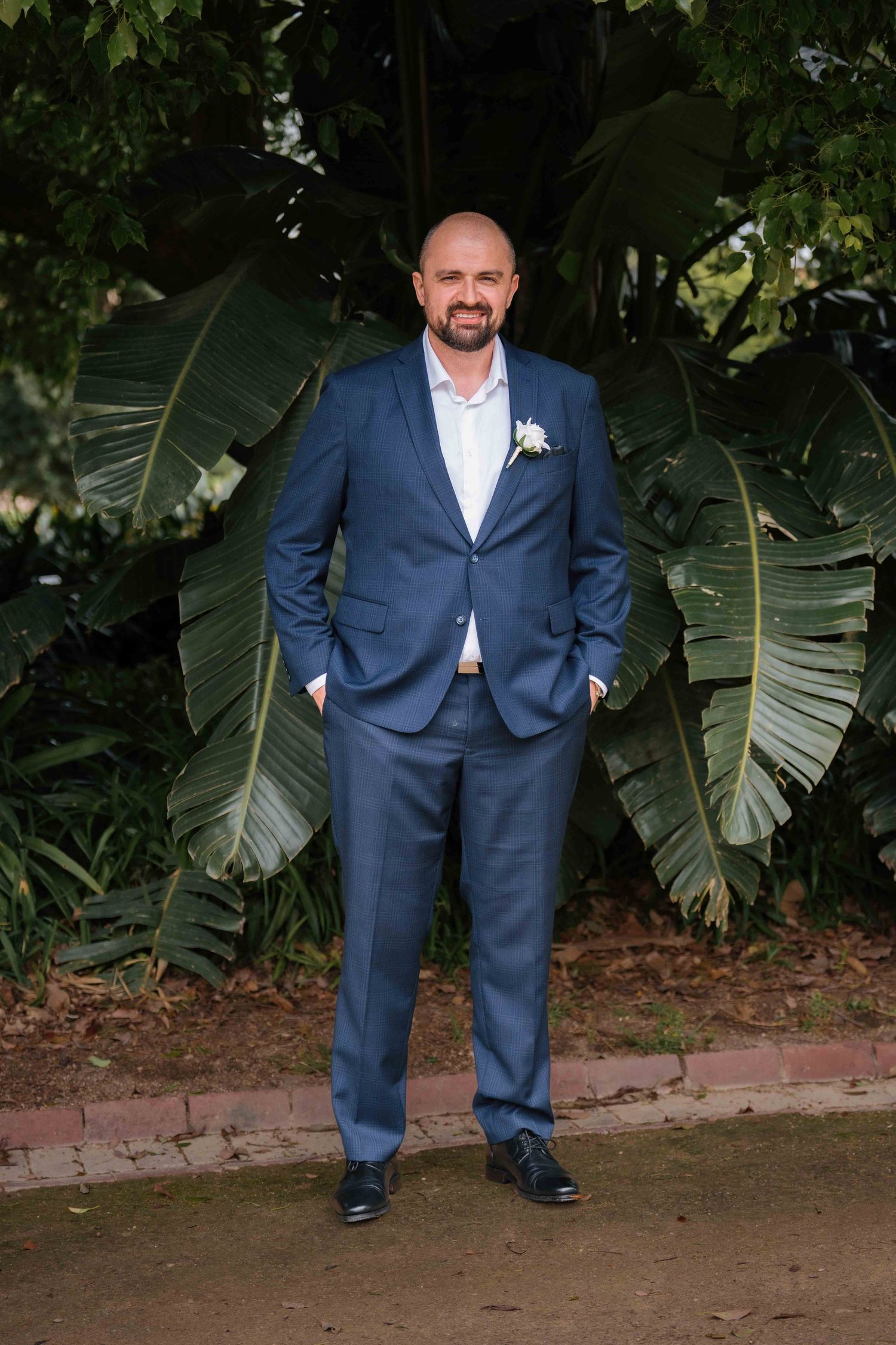 Smiling bald groom in navy blue suit with boutonniere standing confidently before tropical banana leaf plants.
