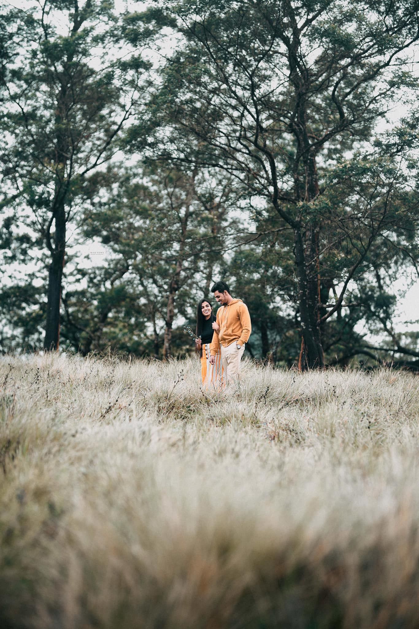 Couple walking hand in hand through golden meadow grass with tall trees in background.