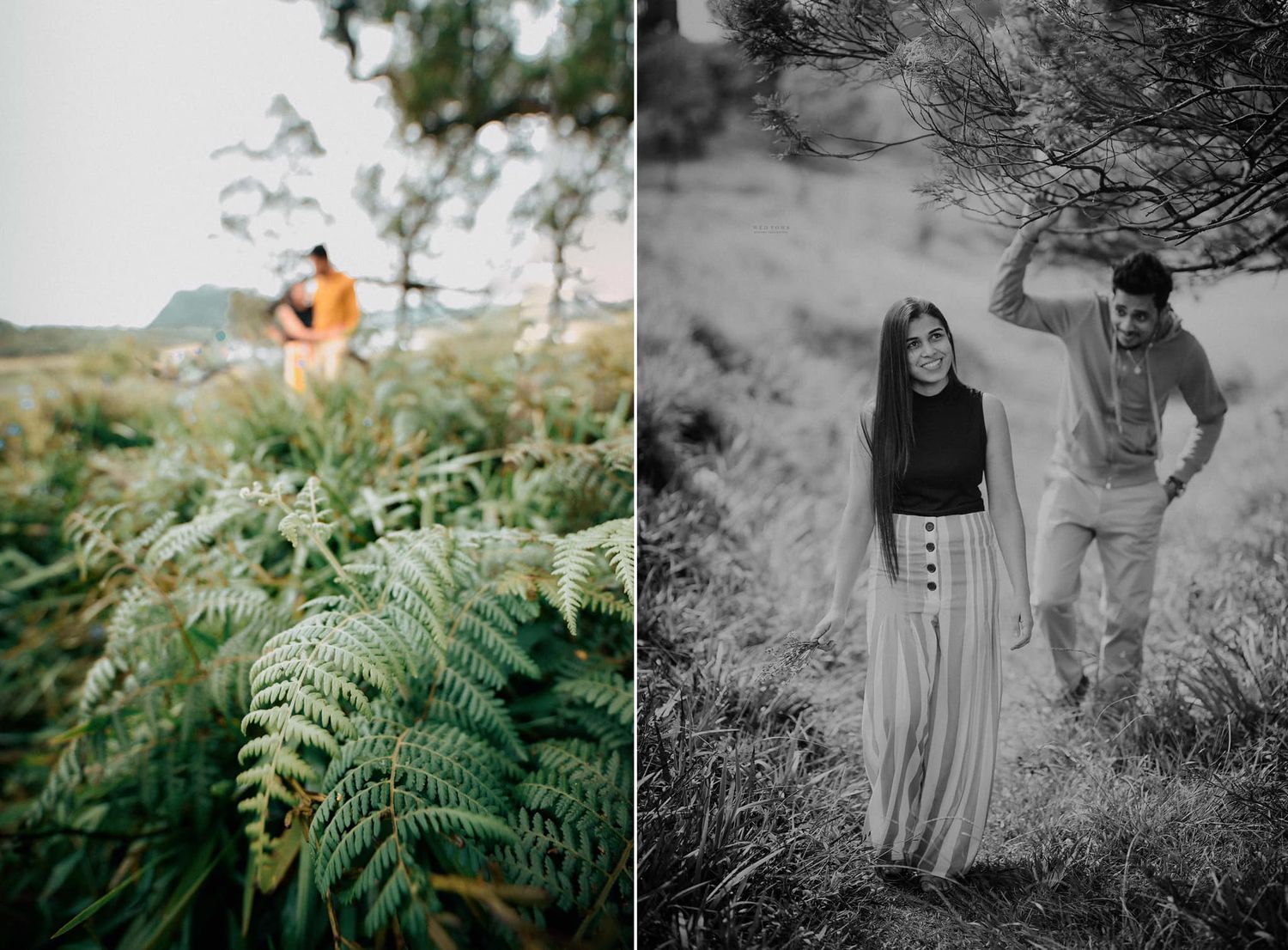 Split image of couple in nature with ferns in foreground and black and white portrait.