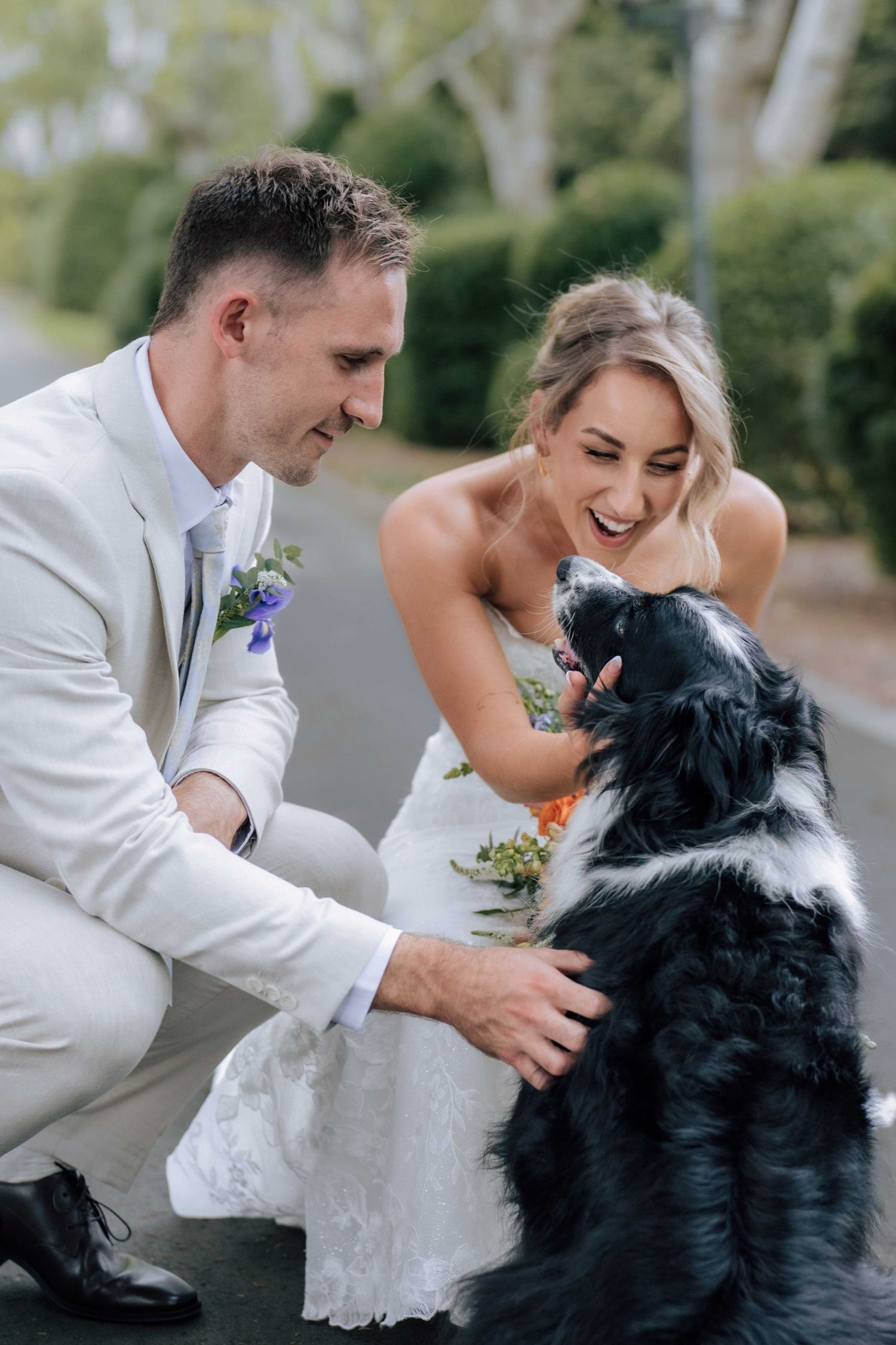 Smiling bride and groom in white suit crouch to pet black and white dog outdoors.
