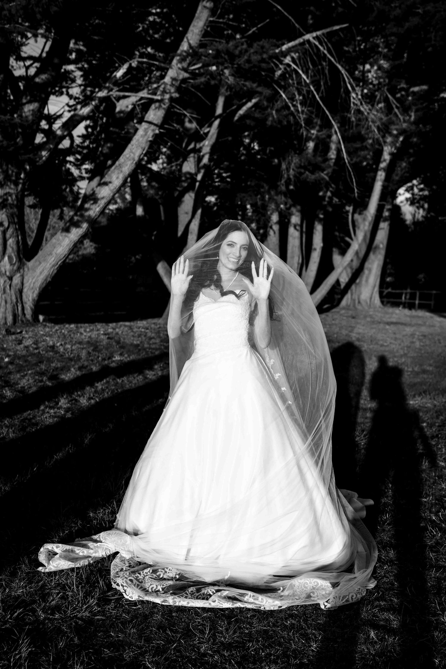 Bride in white ball gown lifts veil in black and white outdoor wedding portrait among trees.