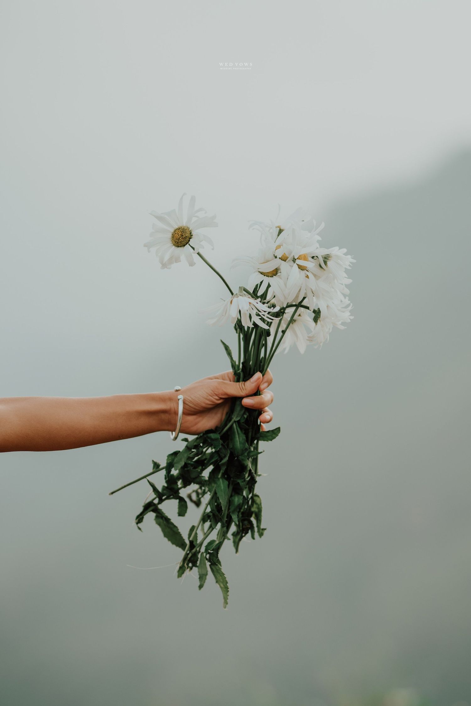 A hand wearing a bracelet holds a small bouquet of white daisy flowers against a soft misty mountain background.