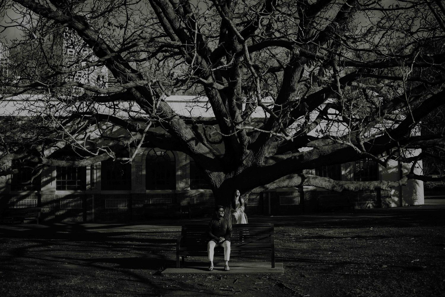 Dramatic black and white image of couple standing under massive bare tree in park setting.