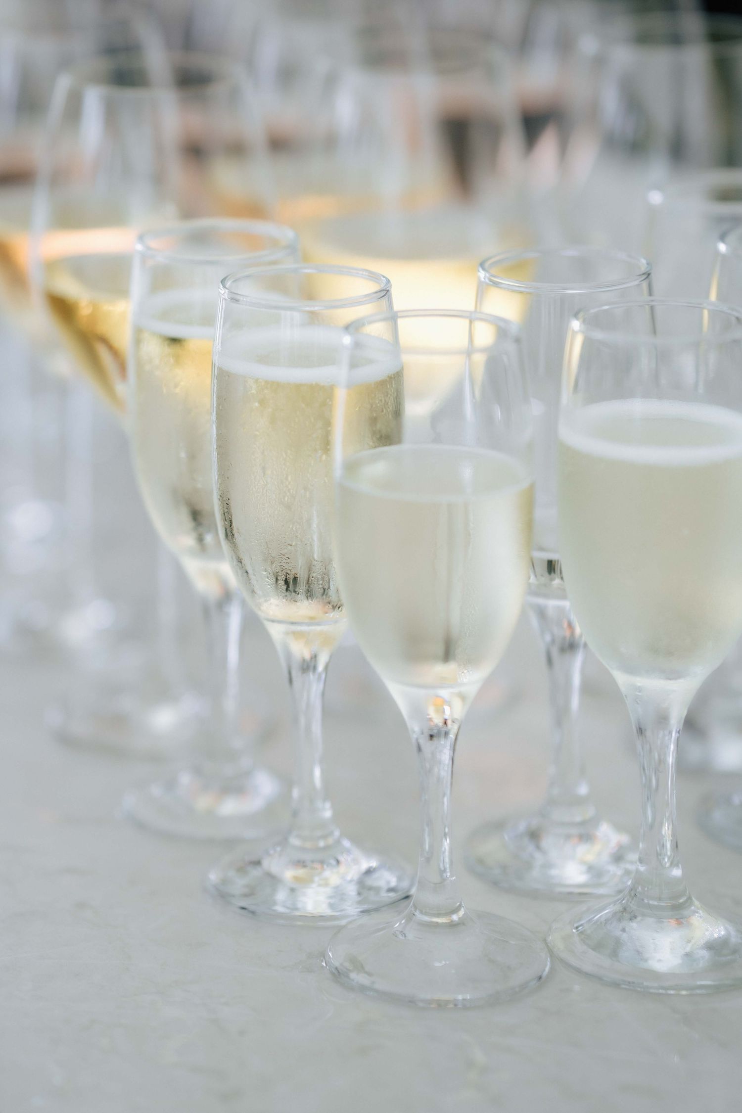 Rows of champagne flutes filled with sparkling wine arranged on a white table for a wedding toast.