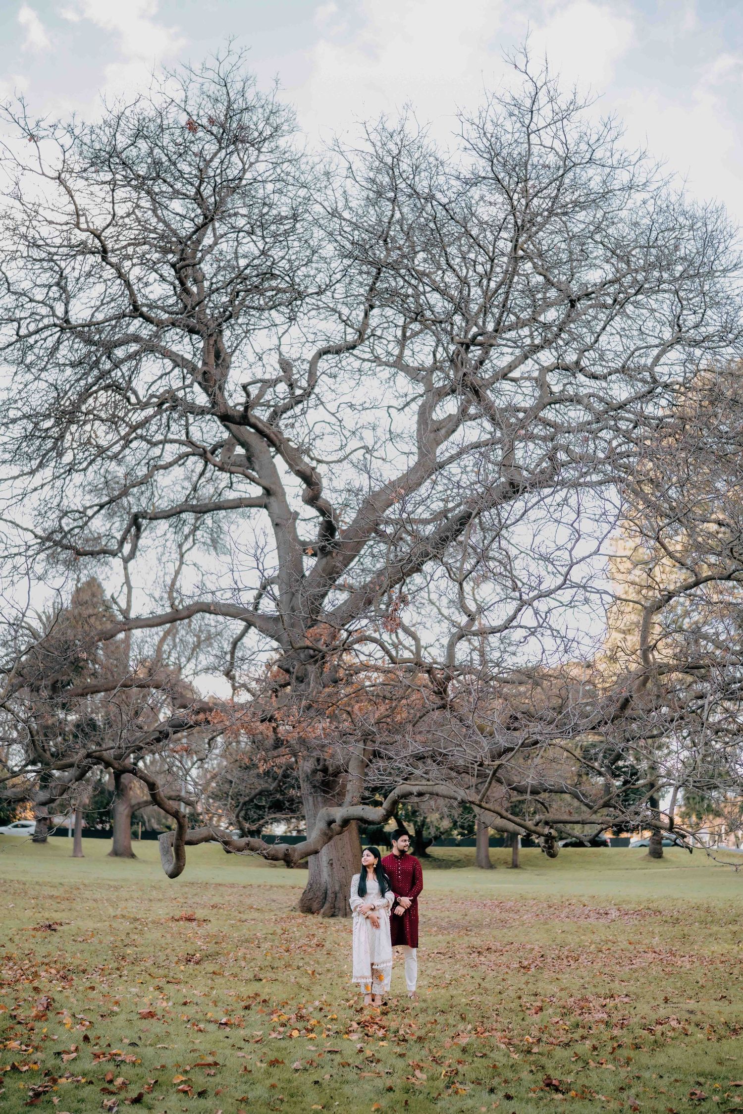 Couple dressed in traditional Indian attire holding hands under a sprawling bare tree in autumn park.