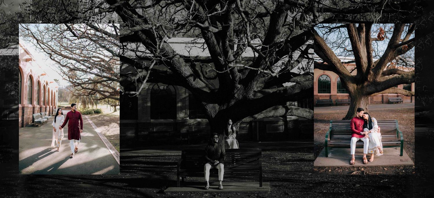 Creative triptych collage of a couple in traditional attire posing outdoors near a large bare winter tree.