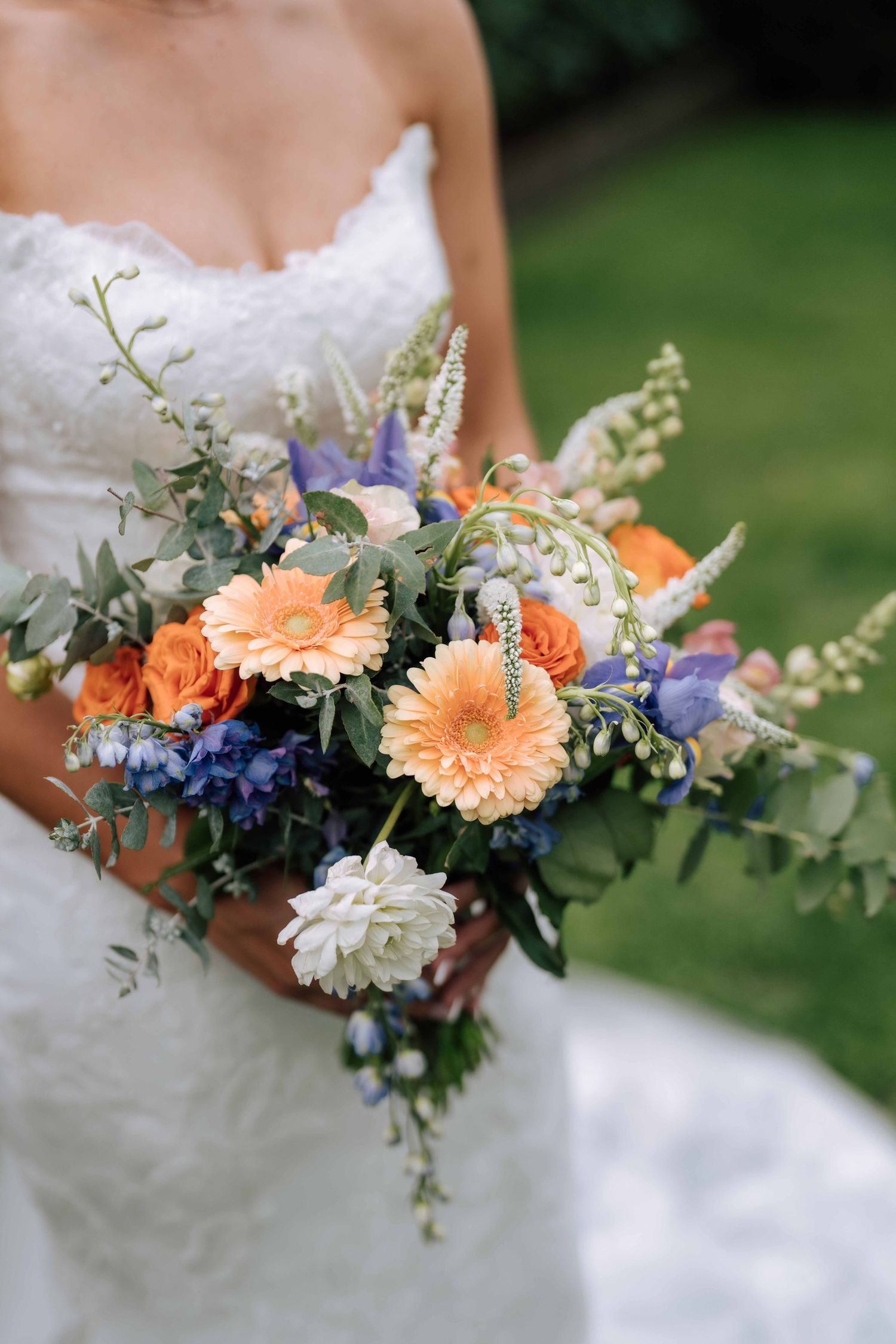Bride holding vibrant bouquet of orange gerberas, blue flowers and white dahlias.