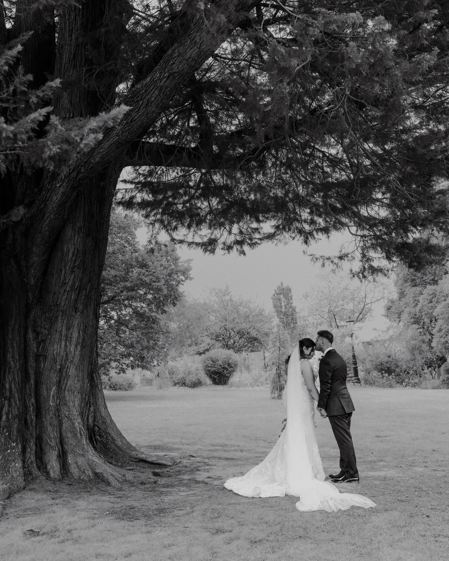 Black and white photo of newlyweds sharing a romantic moment under a large tree.