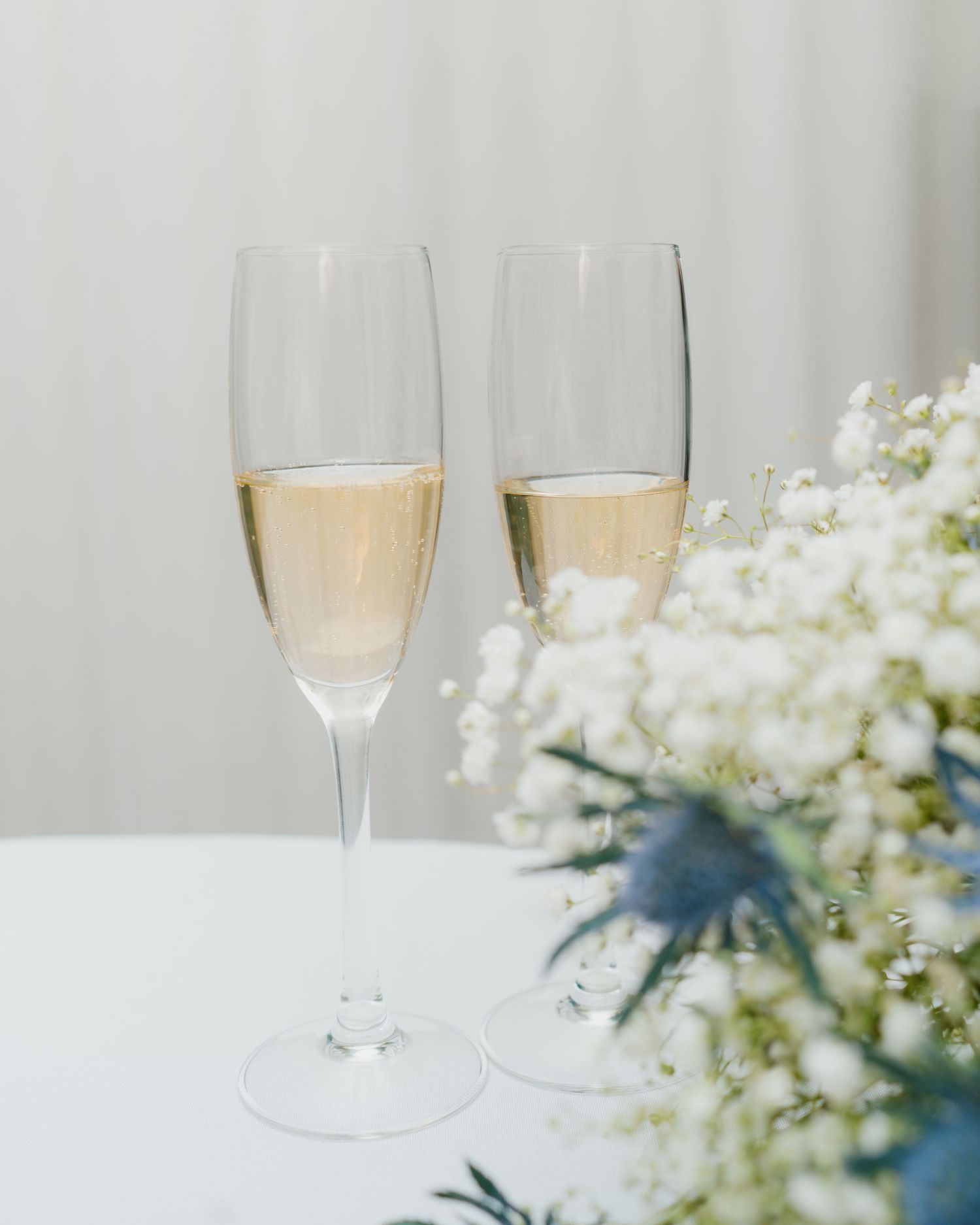 Two elegant champagne flutes filled with sparkling wine beside white baby breath flowers on table.