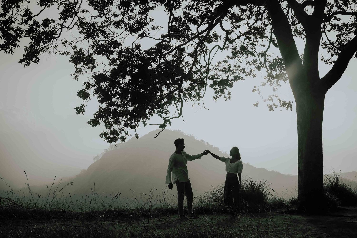 Romantic couple holding hands in misty landscape under large tree with mountain backdrop.