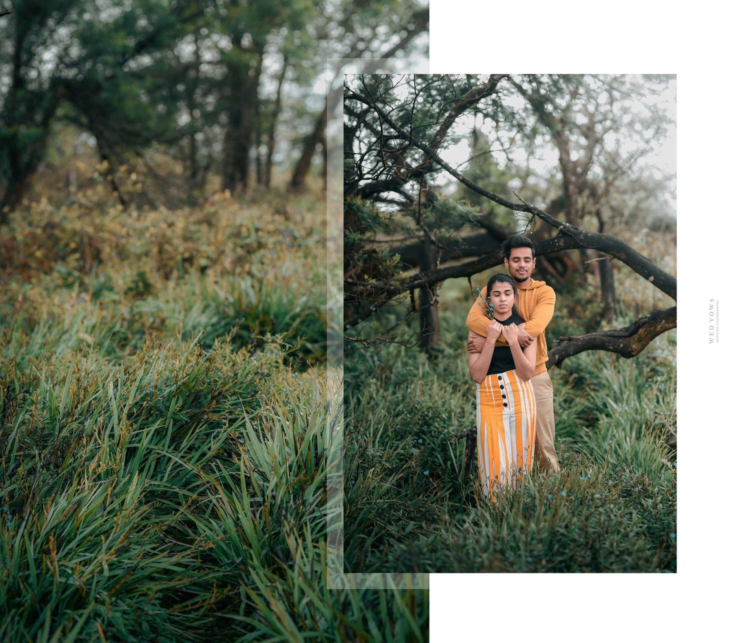 Couple embracing near a leaning tree in a lush green meadow in a romantic outdoor photo collage.
