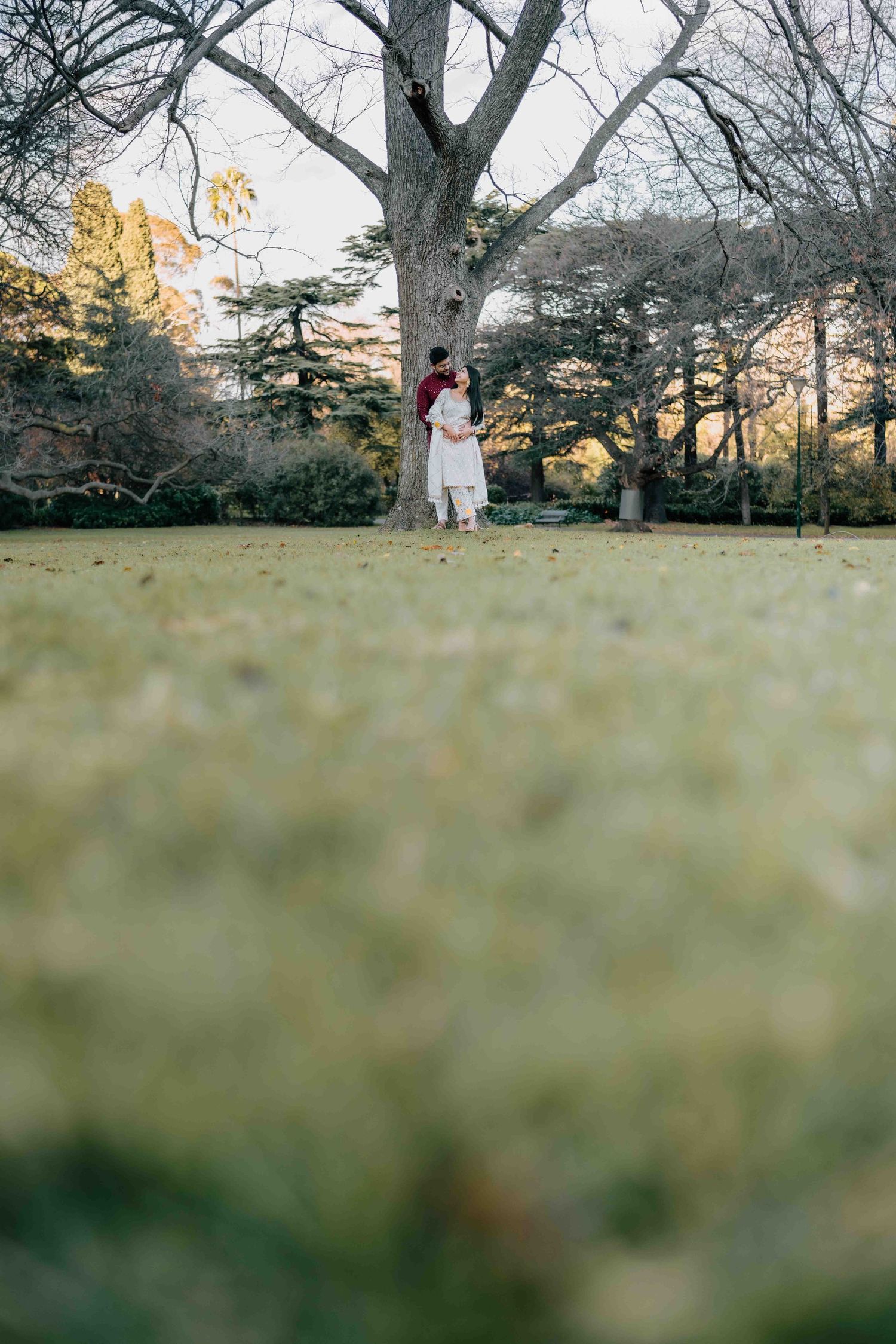 Couple embracing against a large tree trunk in a lush green park, shot from ground level perspective.