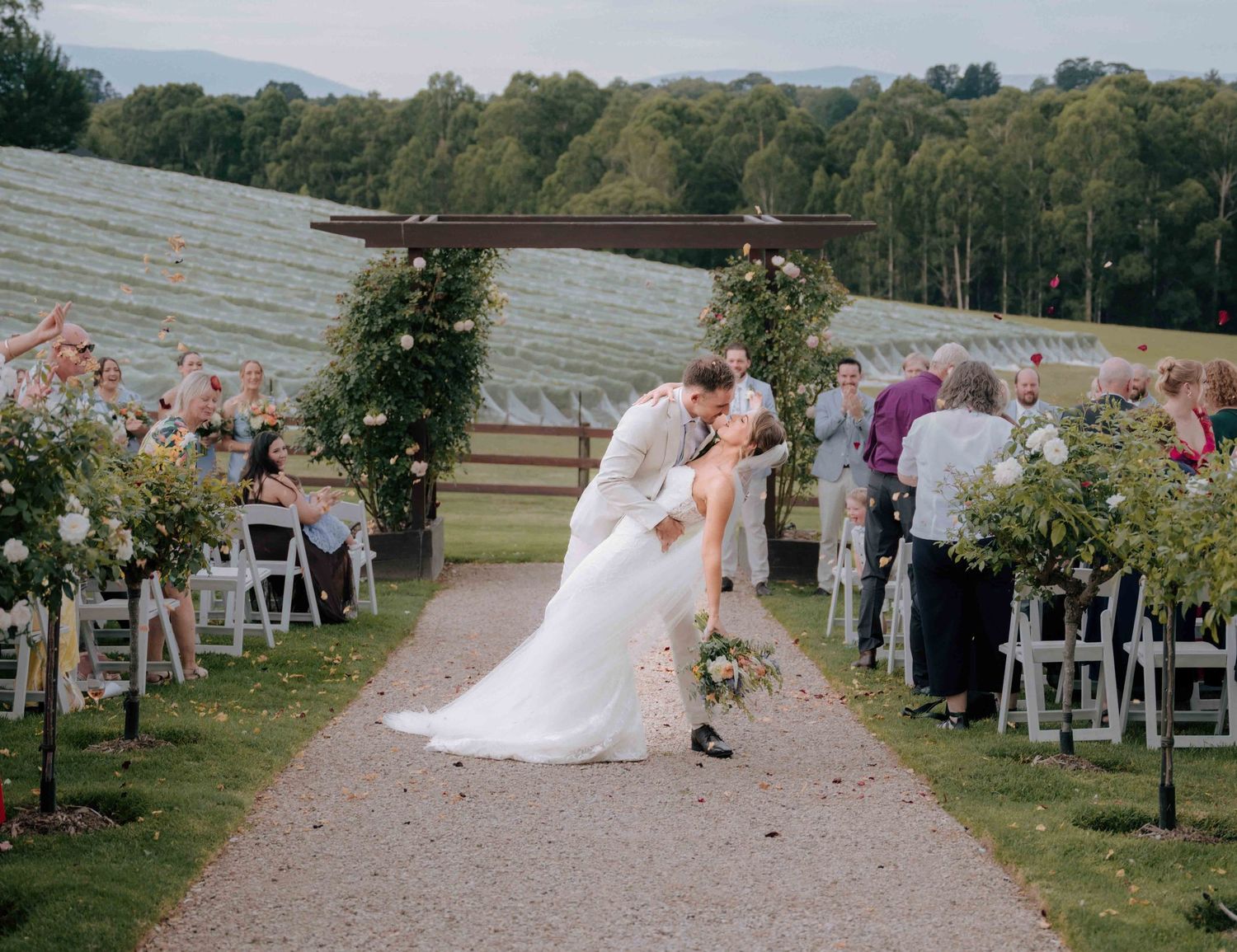 Bride and groom share a dip kiss at the end of the aisle during an elegant outdoor vineyard wedding ceremony.
