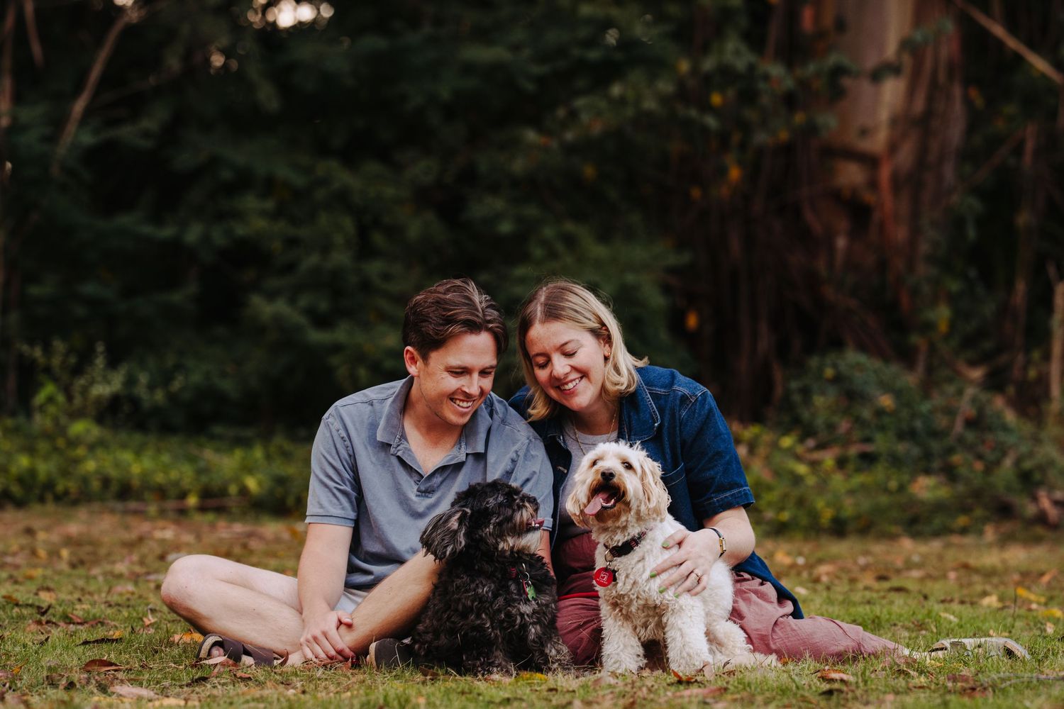 A family with their two dogs sit together smiling in a Waikato park in Autumn