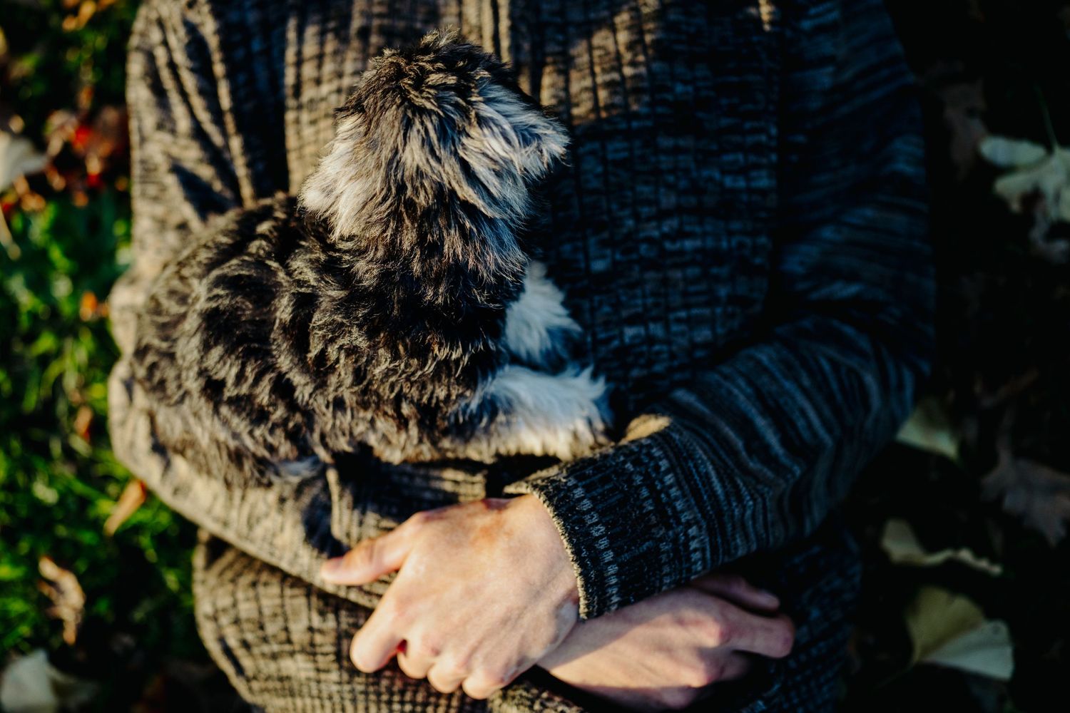 A boy holds his puppy in his arms, while lying on the grass in the evening sunshine, image created by Waikato pet portrait photographer