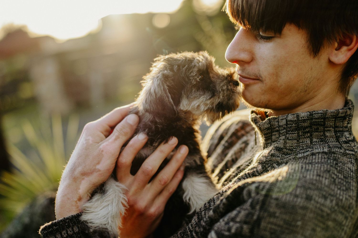 A boy holds his puppy close to his chest in, sitting in the early evening sunshine, image created by Waikato pet portrait photographer