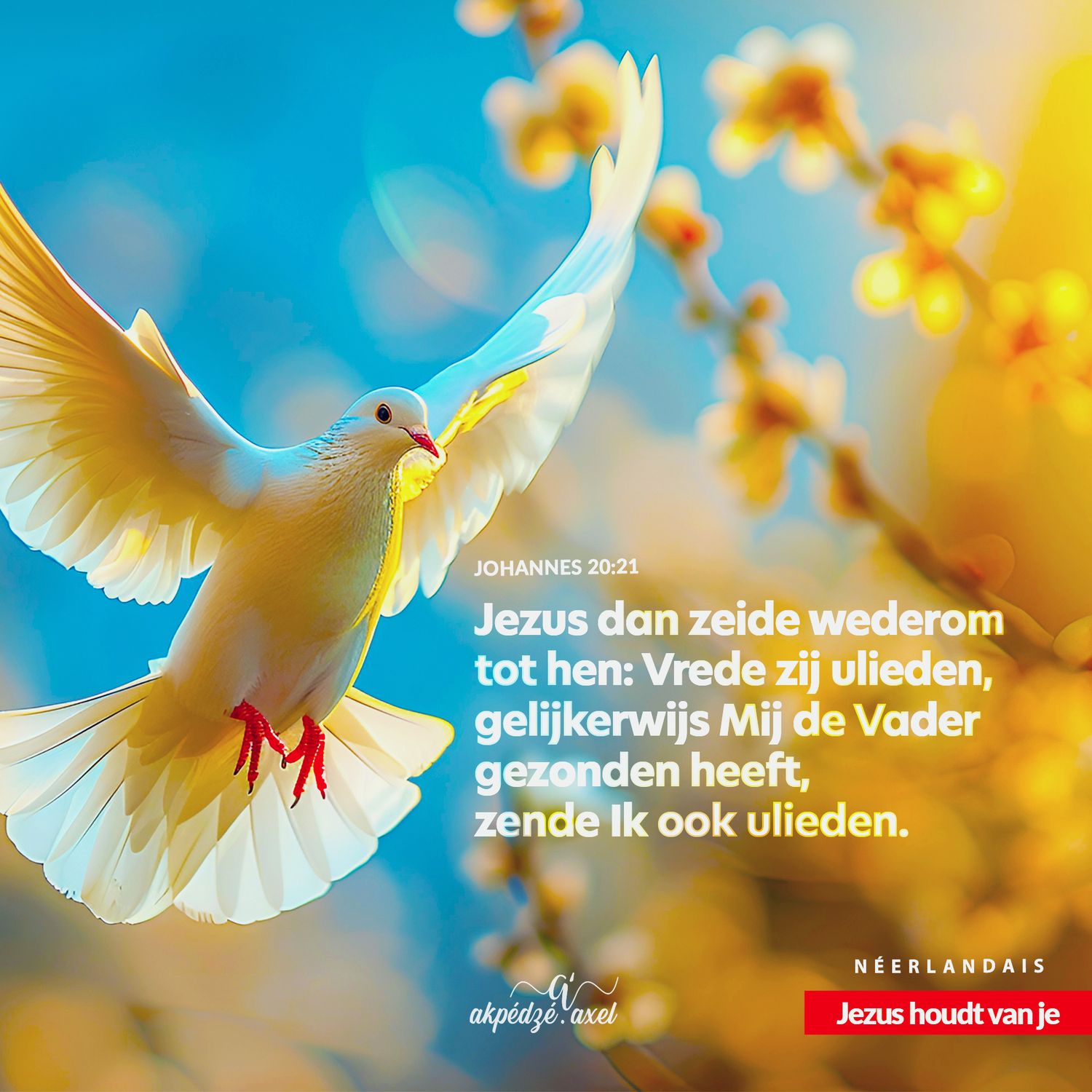 Jean 20v21 - verset biblique illustré - illustrated biblical verse - akpedzeaxel - Jésus t'aime.