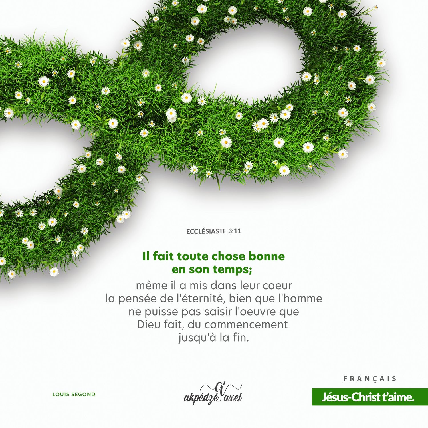 A green infinity symbol made of evergreen branches and white flowers against a white background.