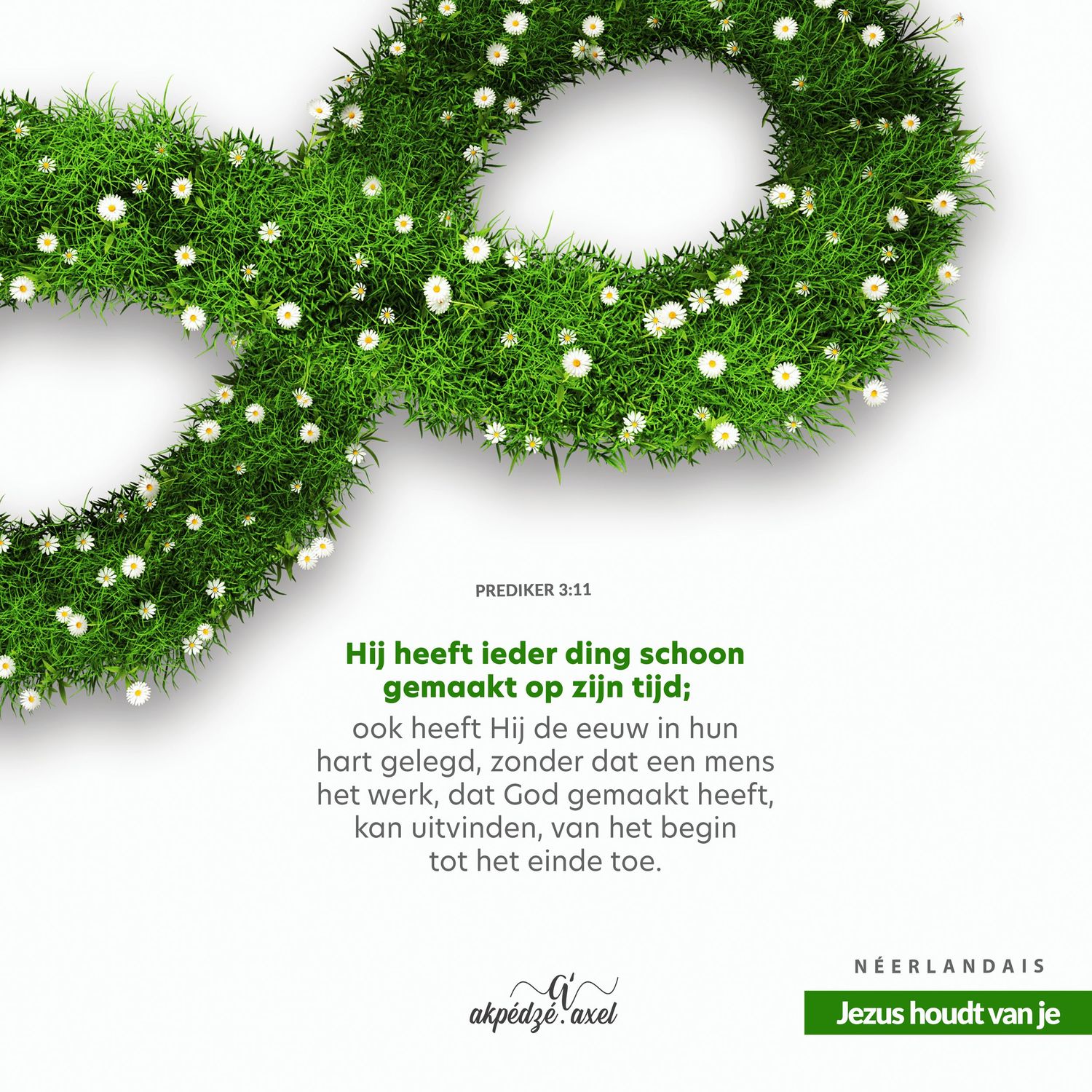 Decorative green wreath with white flowers arranged in an infinity symbol shape against a white background.