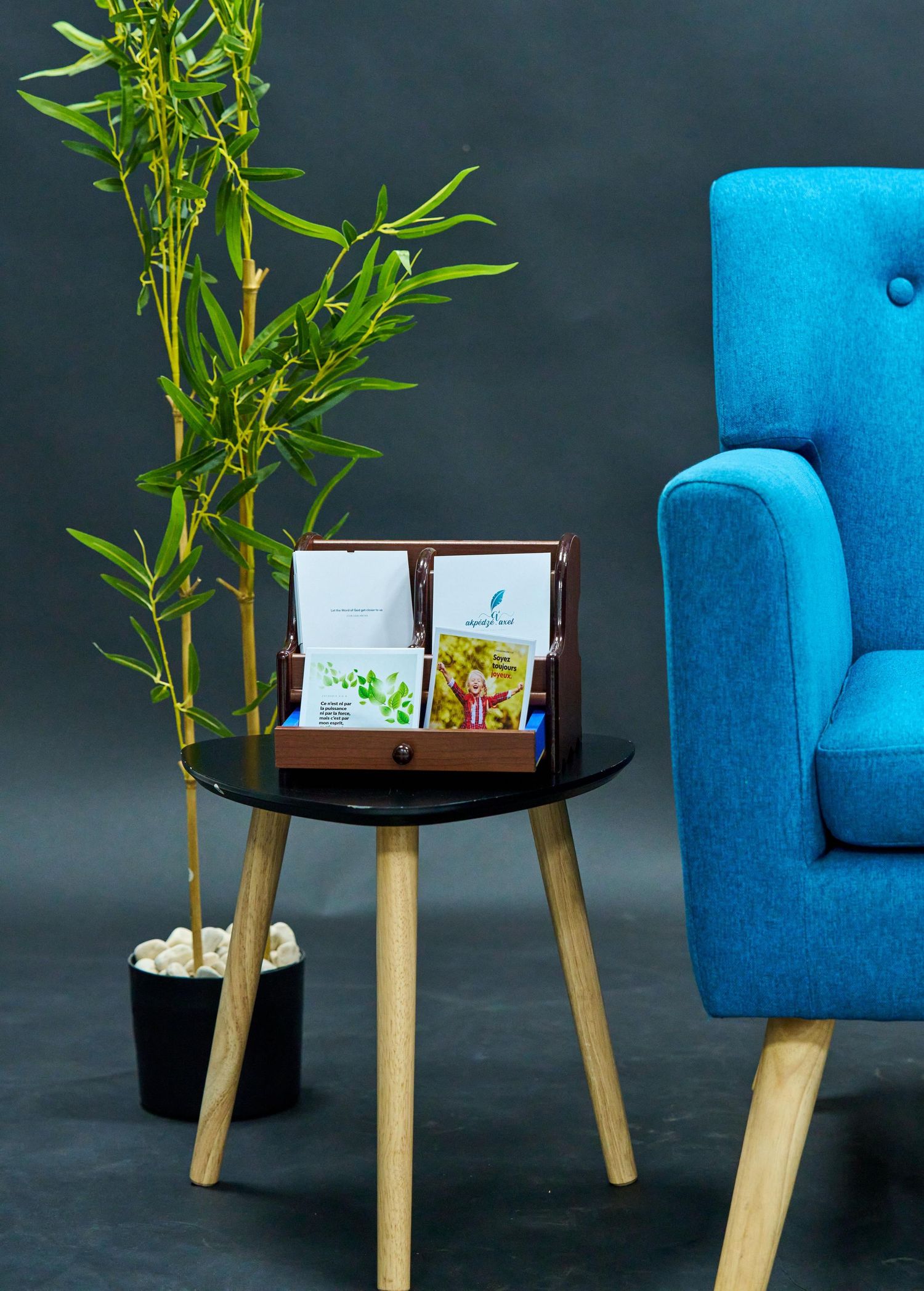 Stylish side table with marketing display next to blue armchair and potted bamboo plant.
