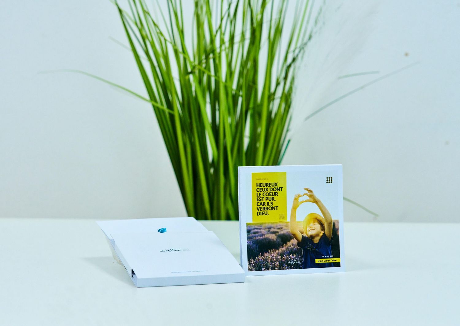 Marketing materials displayed beside tall grass plant. Verset biblique illustré, illustrated biblical verse, akpedzeaxel