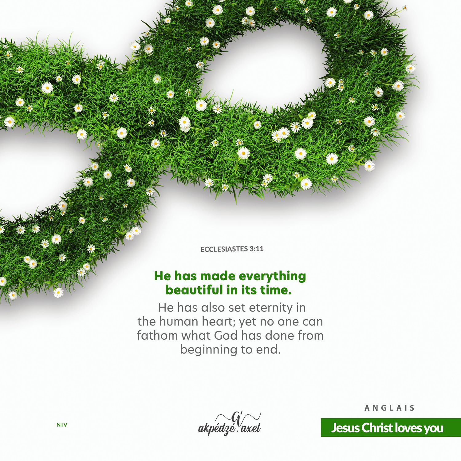 Green infinity wreath with small white flowers and Ecclesiastes 3:11 Bible verse on a white background.
