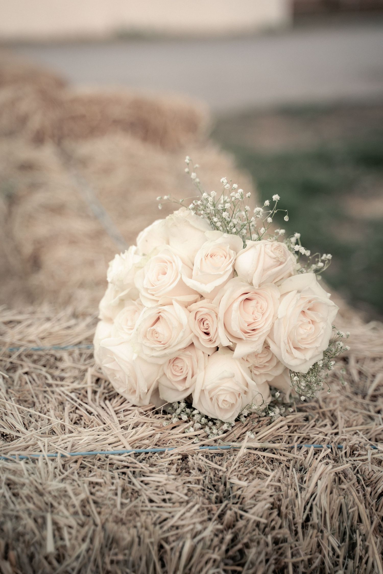 Delicate pale pink roses and baby's breath arranged on rustic hay bales for wedding decor.