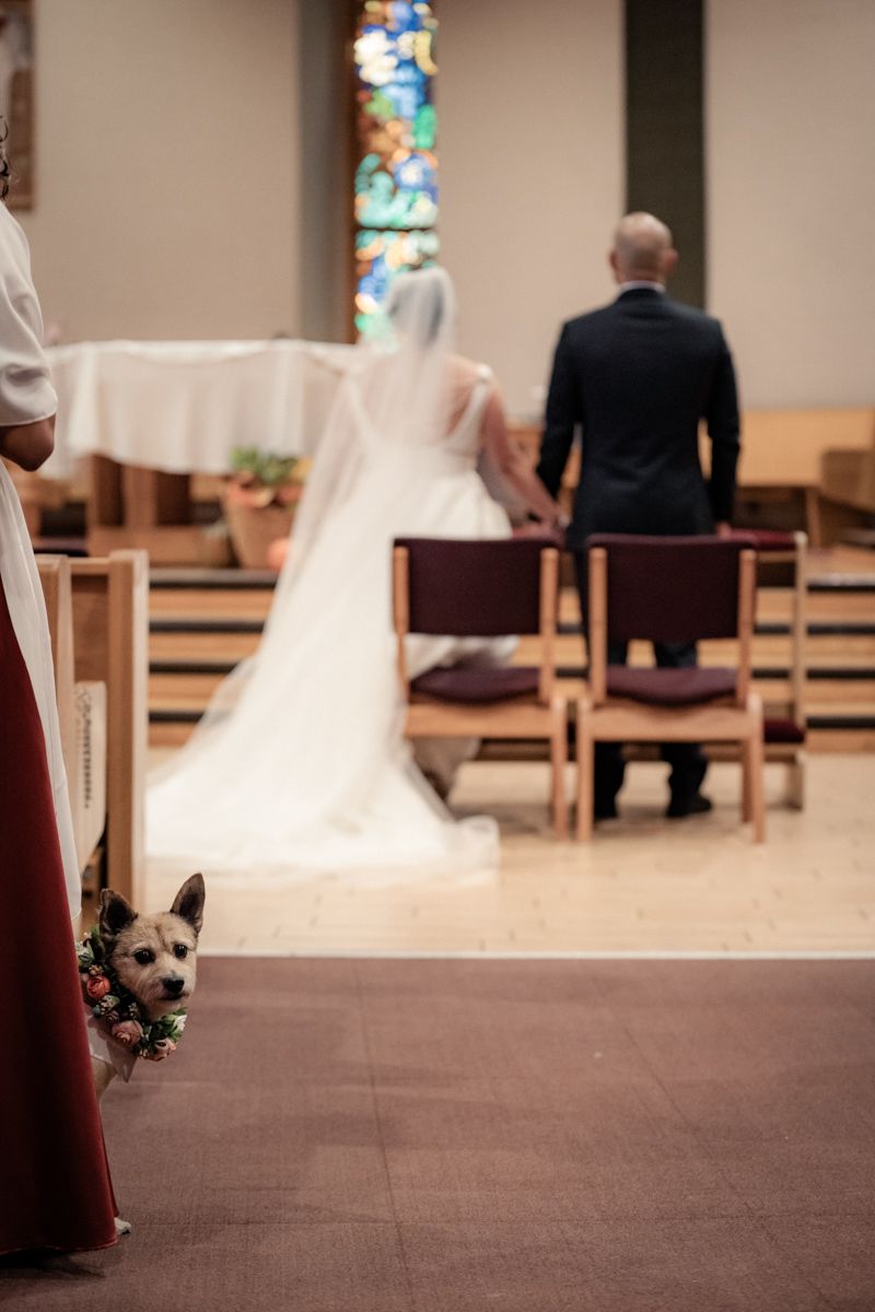 Church wedding ceremony setup with wooden pews and stained glass windows in background.