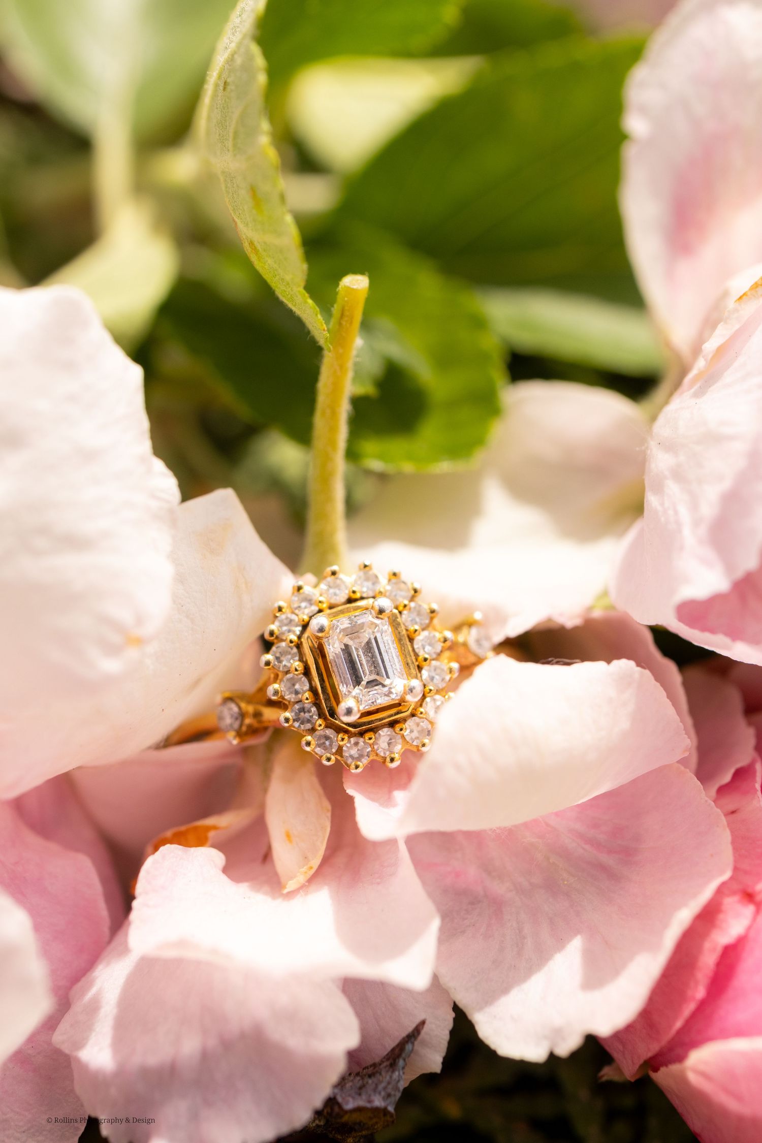 Stunning Engagement ring nicely placed into a bed of cherry blossoms.