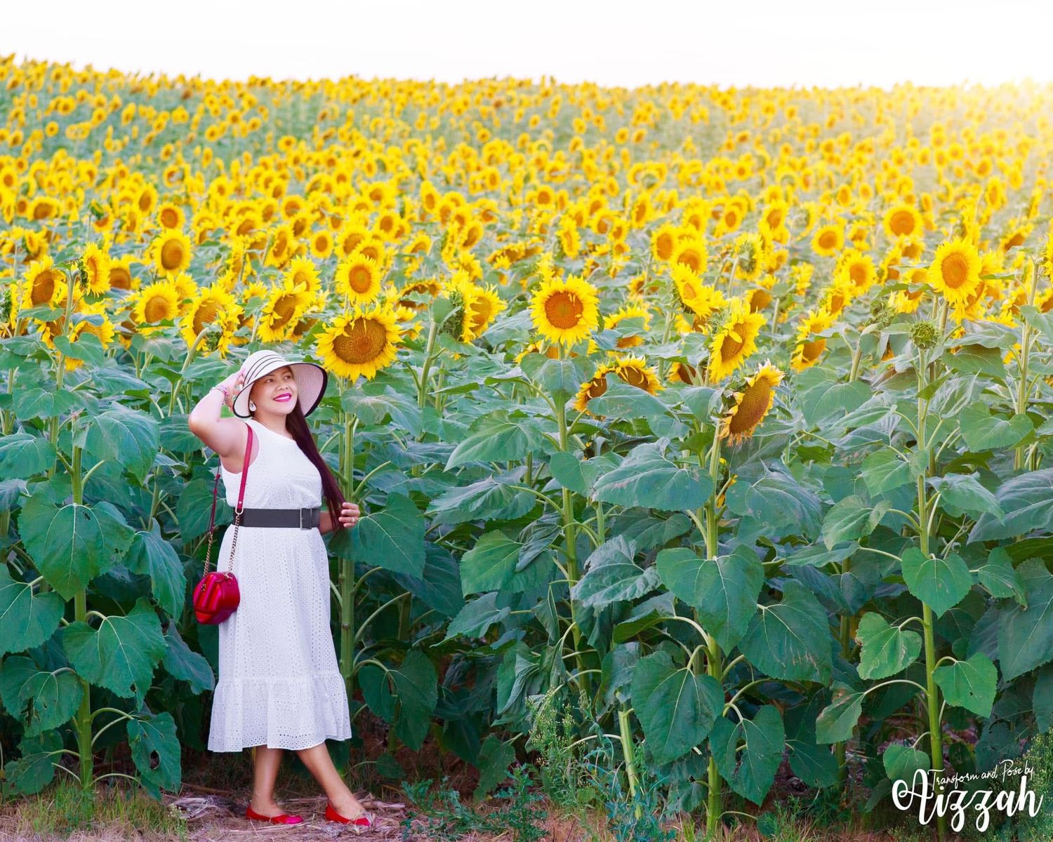 Woman in white dress poses in front of vast sunflower field on sunny day.