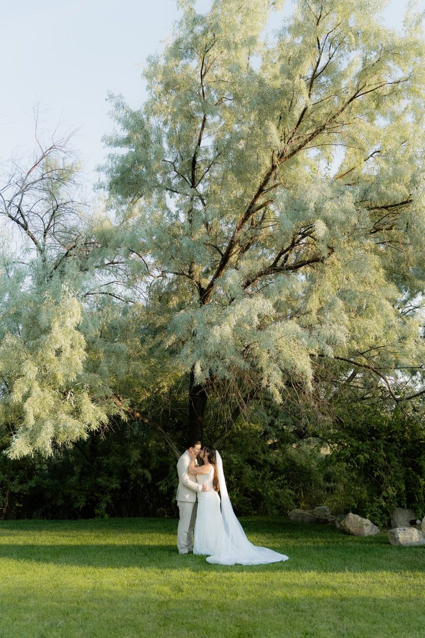 Bride and groom in Utah wedding photographed by Jensen Photo & Film. Willow tree wedding photos with golden light