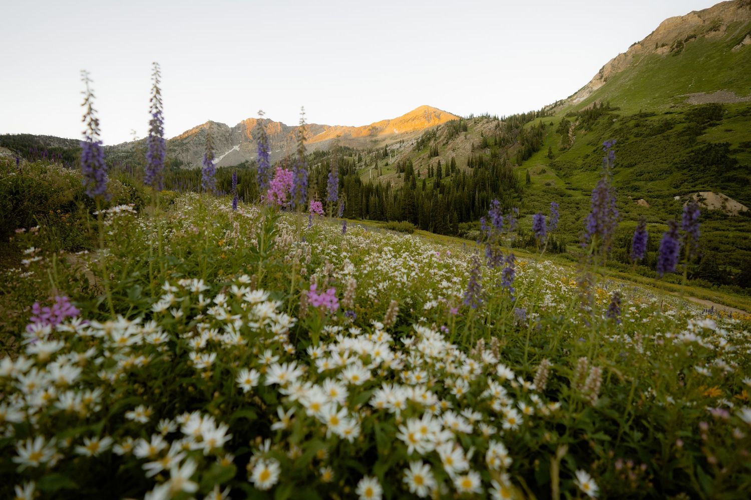 Best Salt Lake City, Utah mountain wedding venue locations.