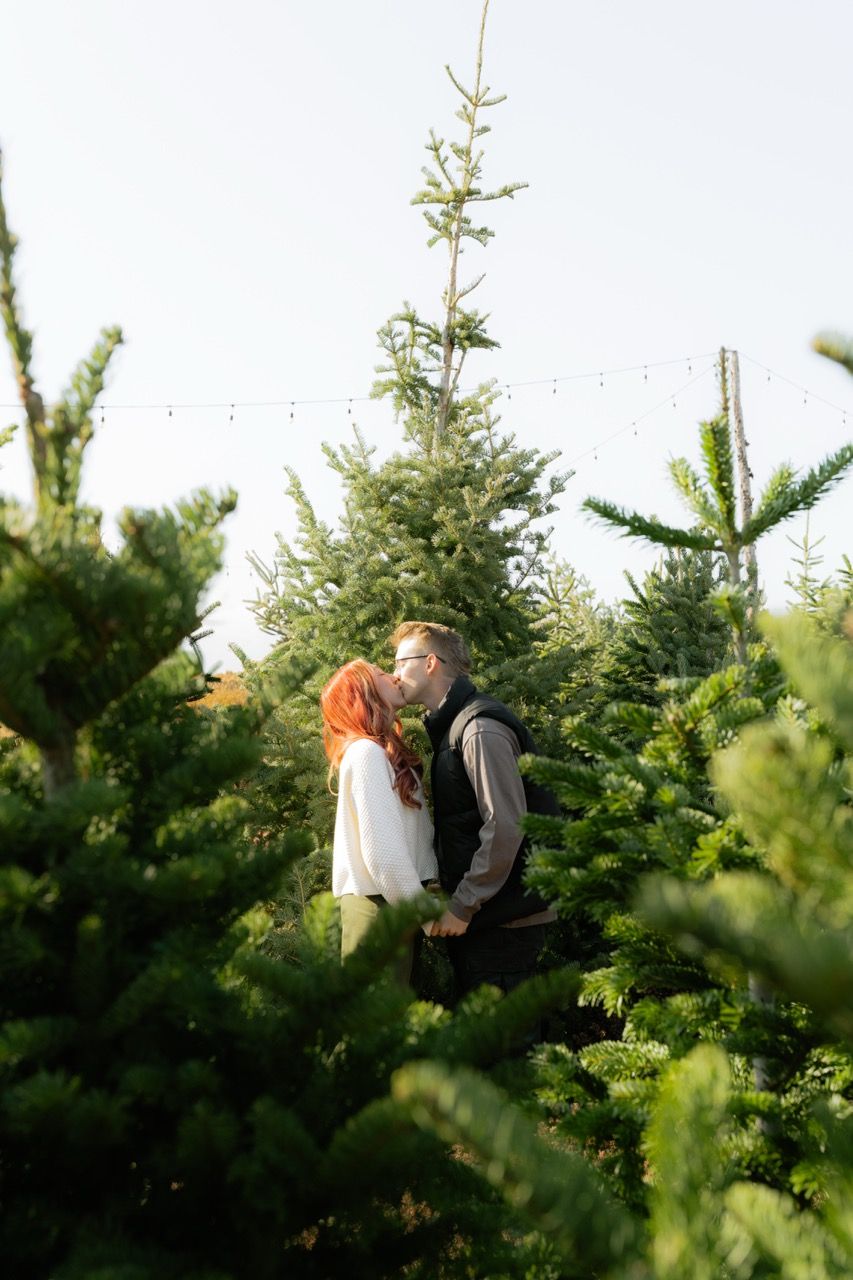 Couple during a couple photoshoot in Salt Lake City, Utah. Tree farm couple photos photographed by Jensen Photo & Film.