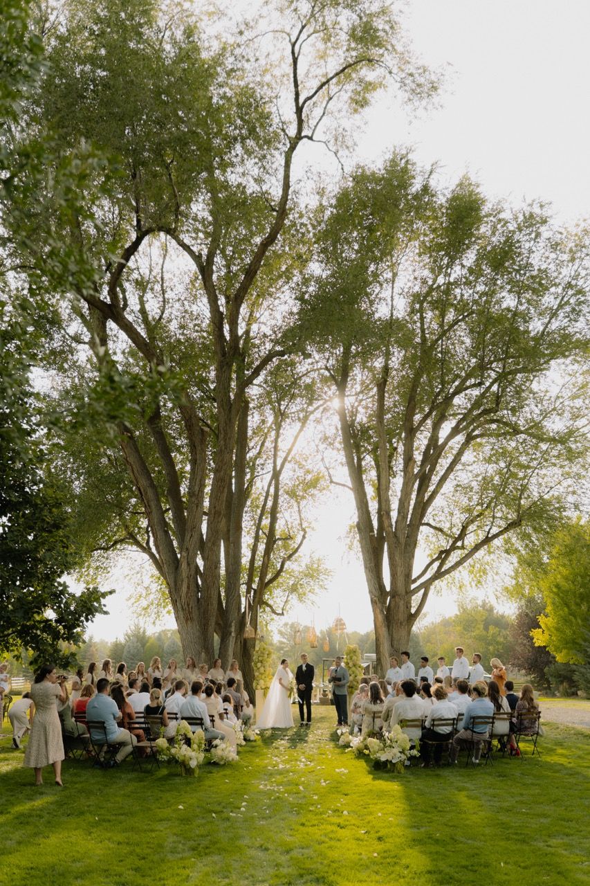 Bride and groom in Utah wedding photographed by Jensen Photo & Film. Tall trees, golden hour light.