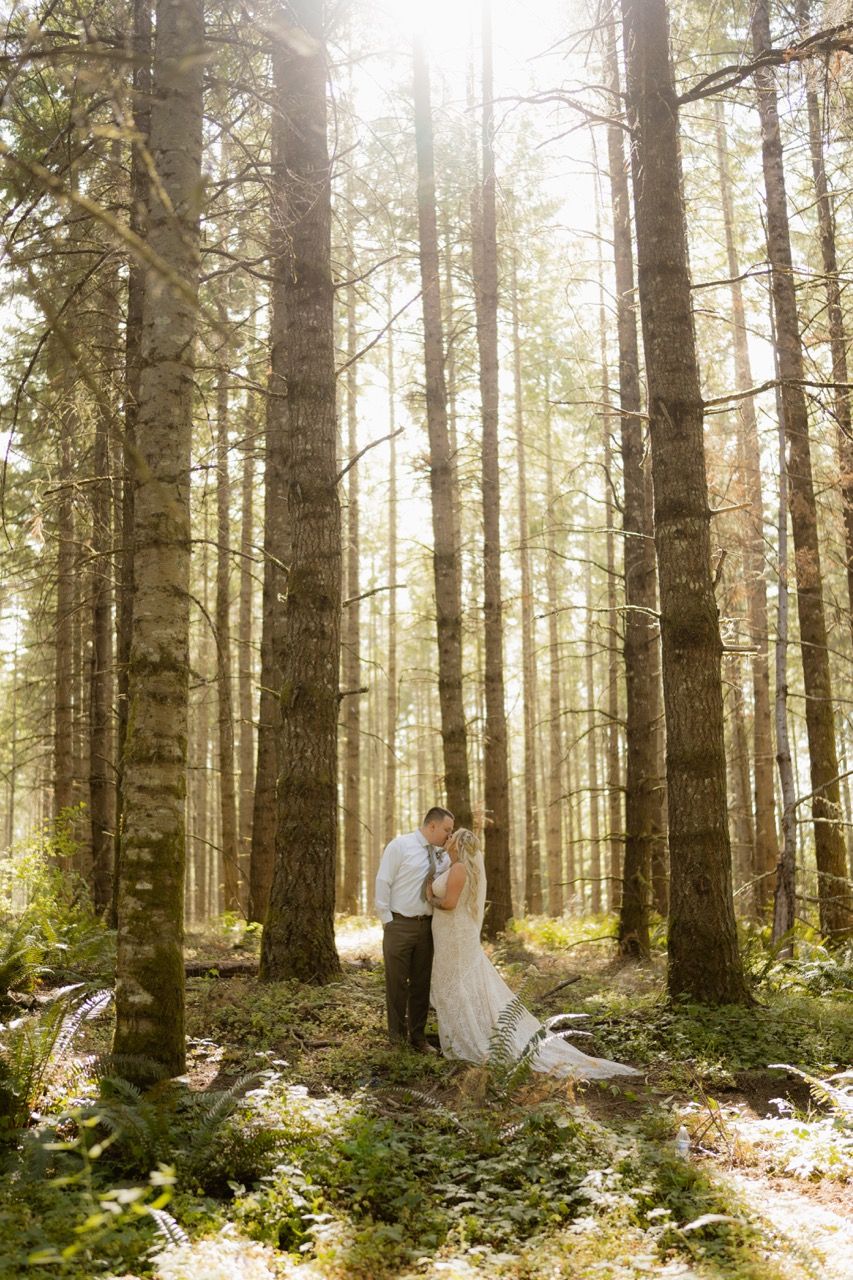 Oregon wedding and elopement forest photography taken by Jensen Photo & Film