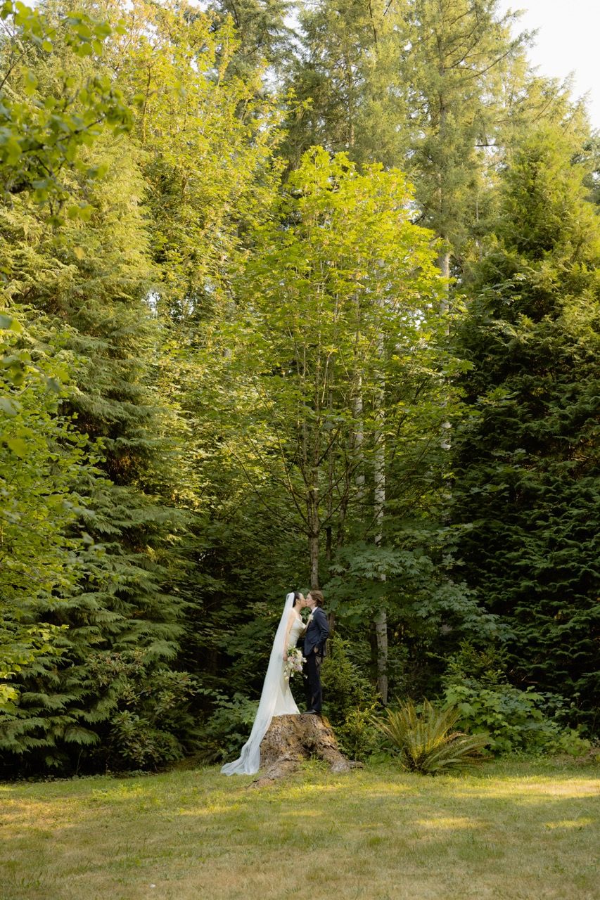 Washington wedding forest photography taken by Jensen Photo & Film.