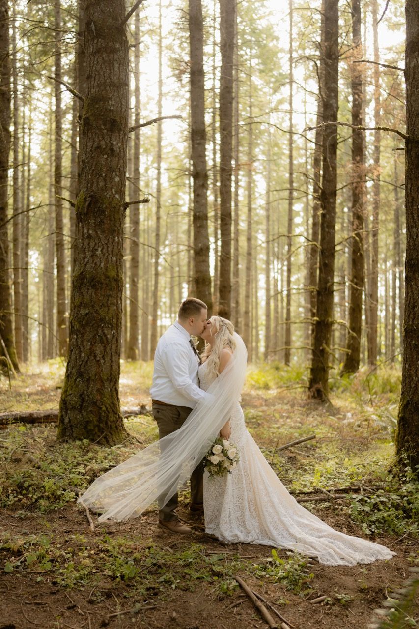 Oregon wedding and elopement forest photography taken by Jensen Photo & Film