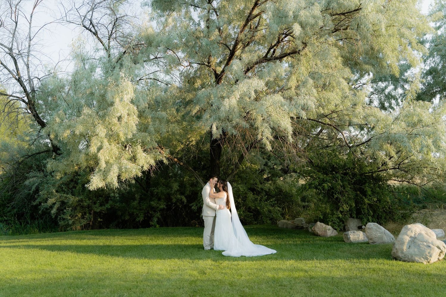 Bride and groom in Utah wedding photographed by Jensen Photo & Film. Willow tree wedding photos with golden light