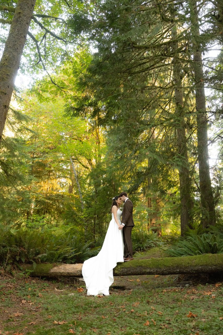 Bride and groom surrounded by pine trees in Snohomish, Washington photographed by Jensen Photo and Film