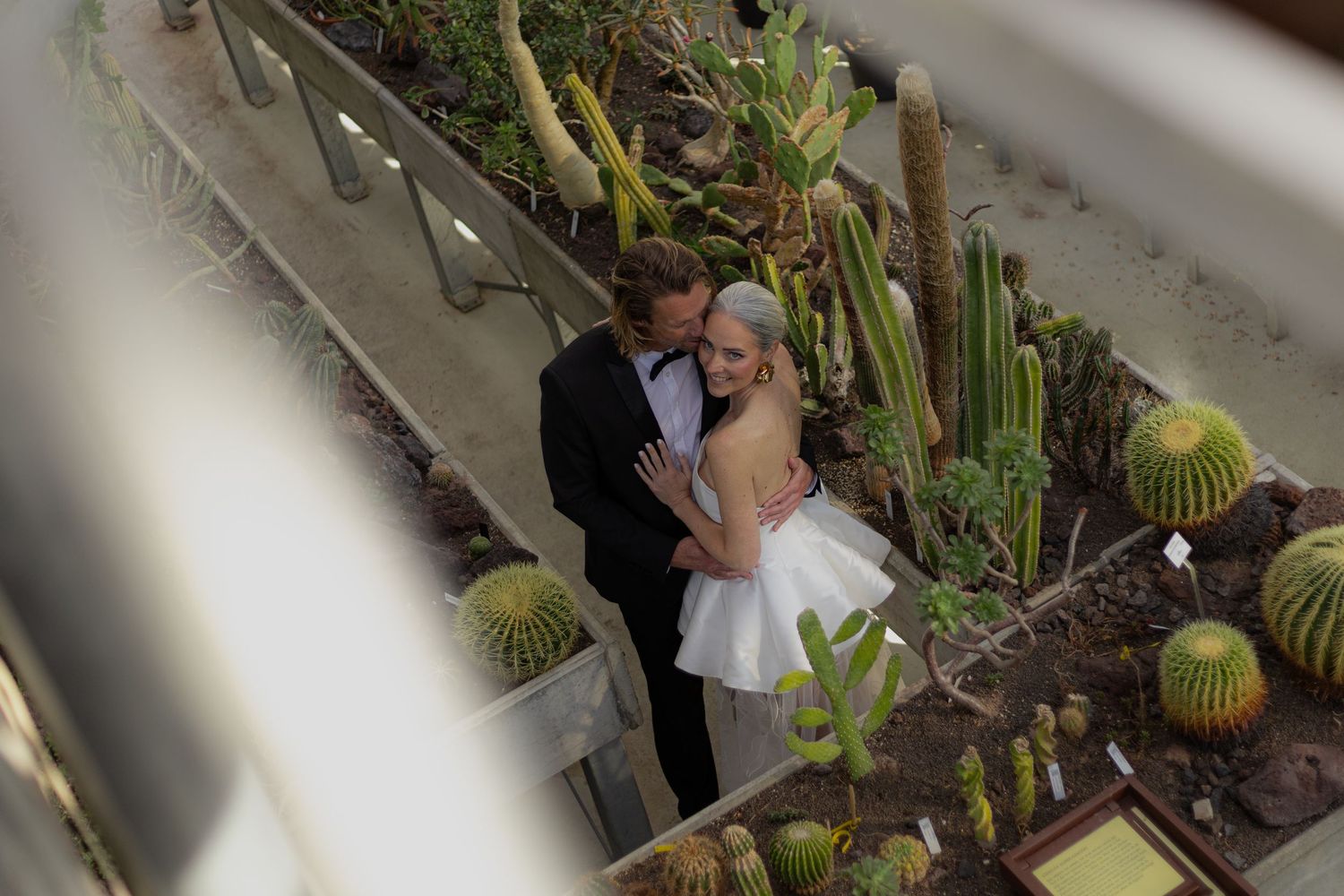 Wedding ceremony setting with tropical plants and cacti in an indoor botanical garden.
