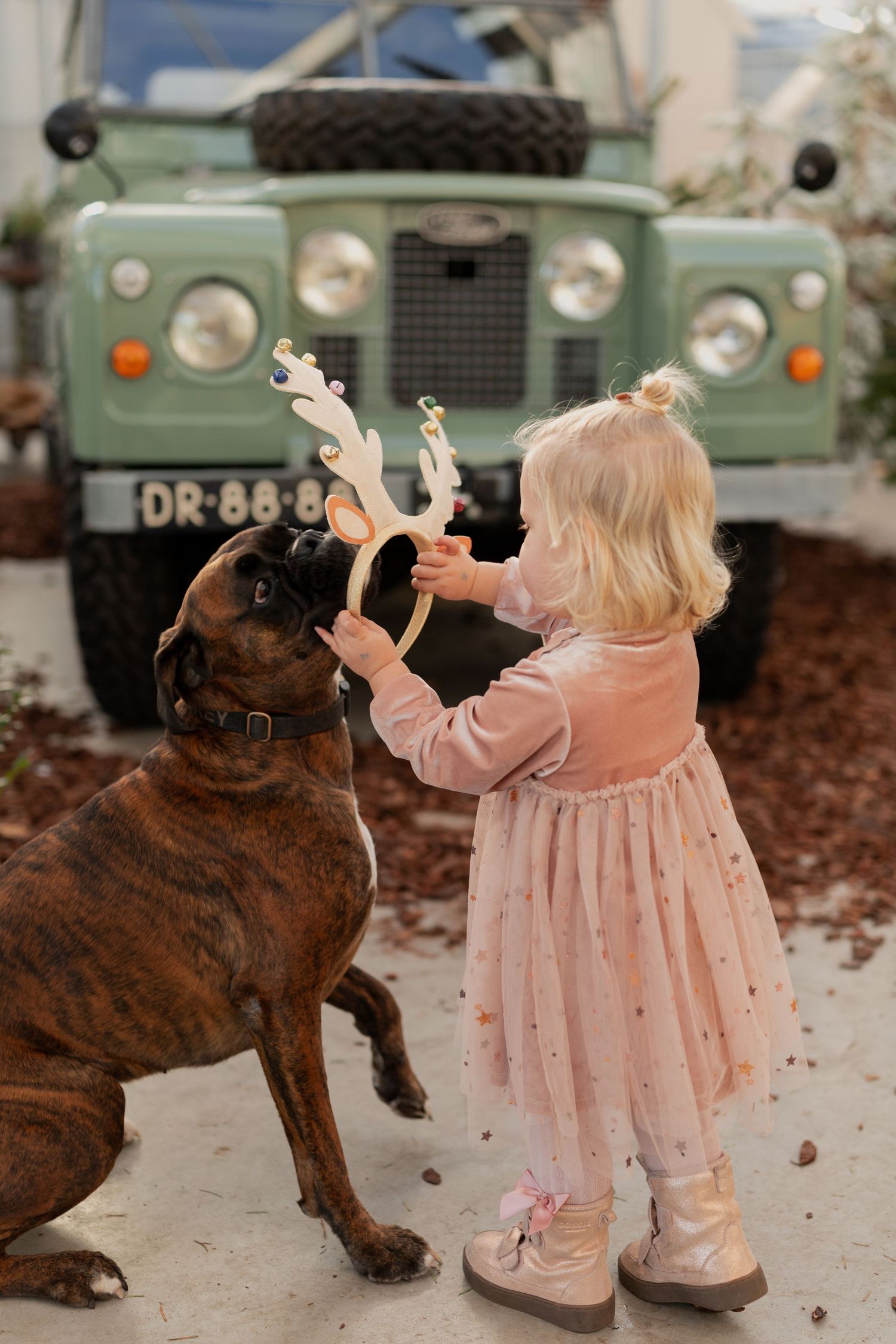 A small child in a pink dress plays with a large brown dog in front of a vintage military vehicle.