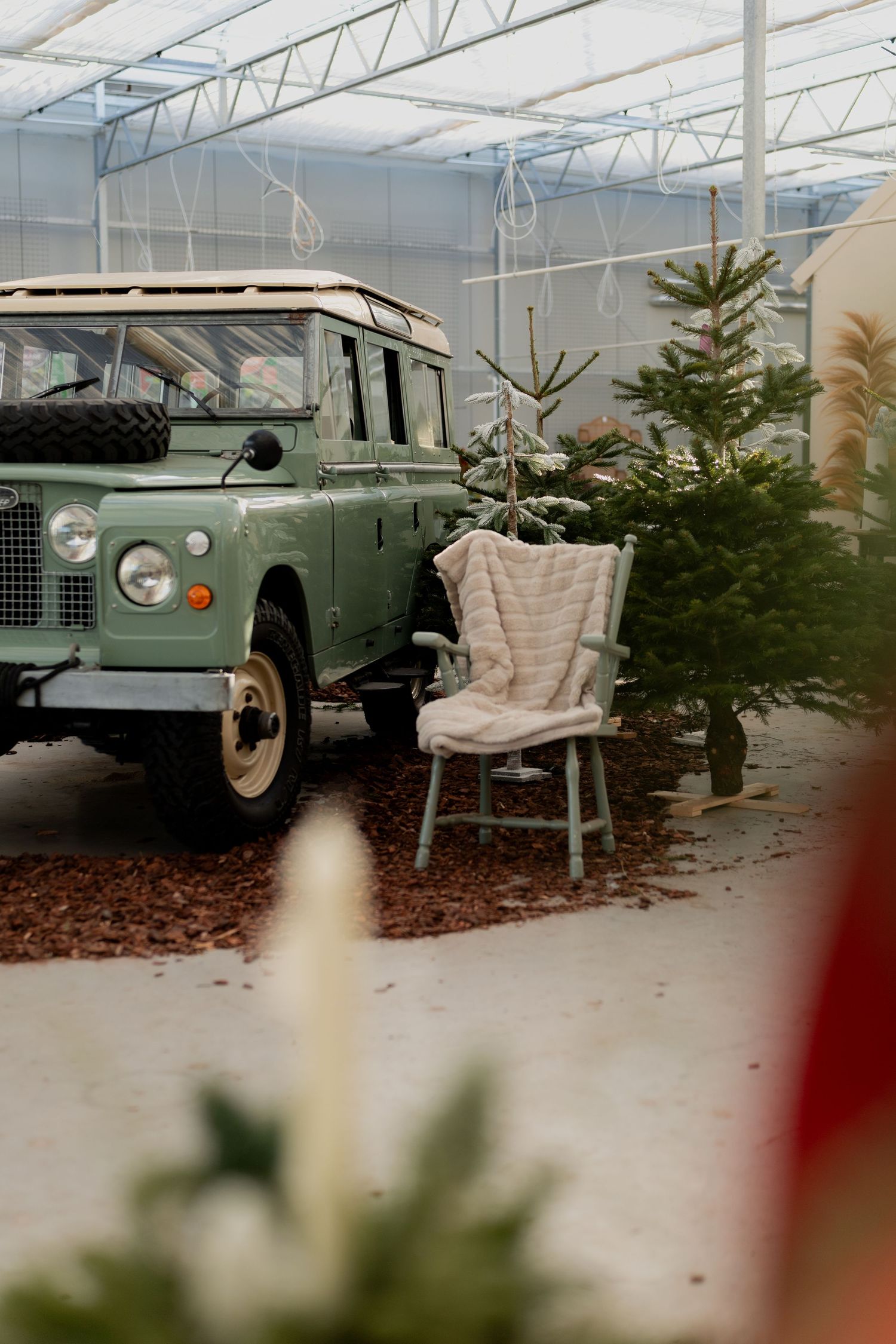 Vintage green Land Rover parked indoors next to a white chair and Christmas tree in a greenhouse-like setting.