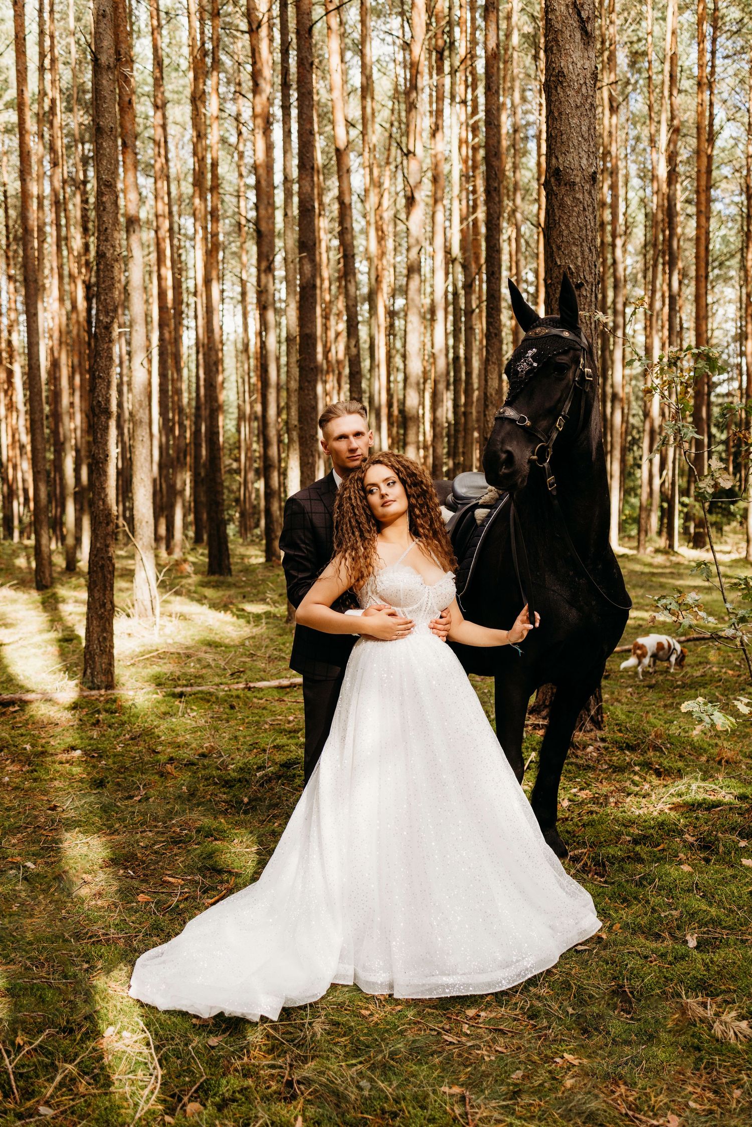 Wedding party poses with a black horse in a sunlit pine forest setting.