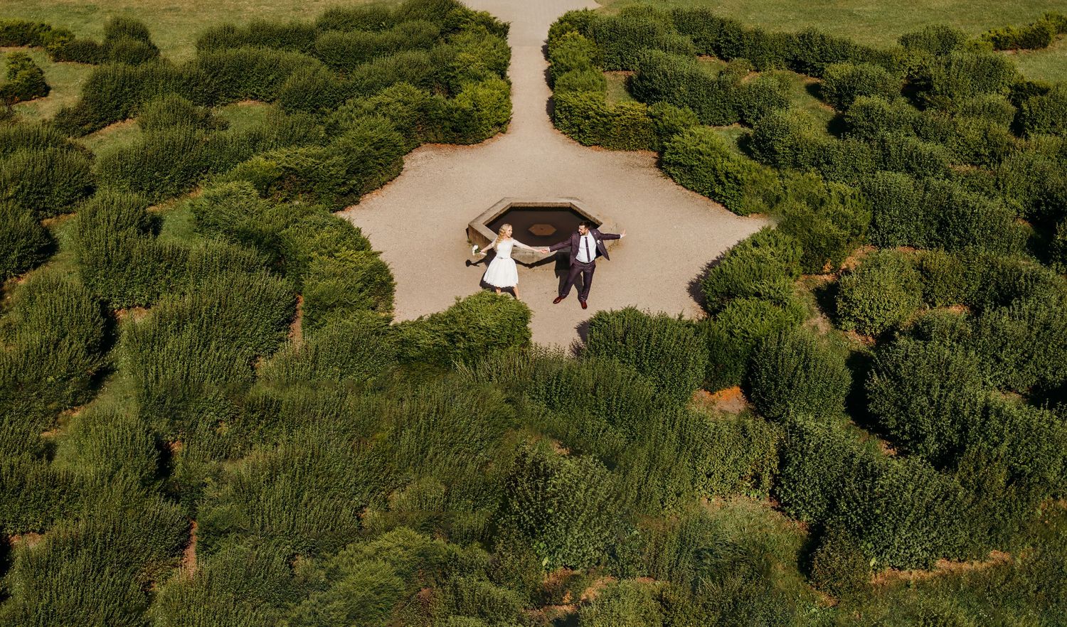 Aerial view of a winding pathway through lush green coastal vegetation and sand dunes.