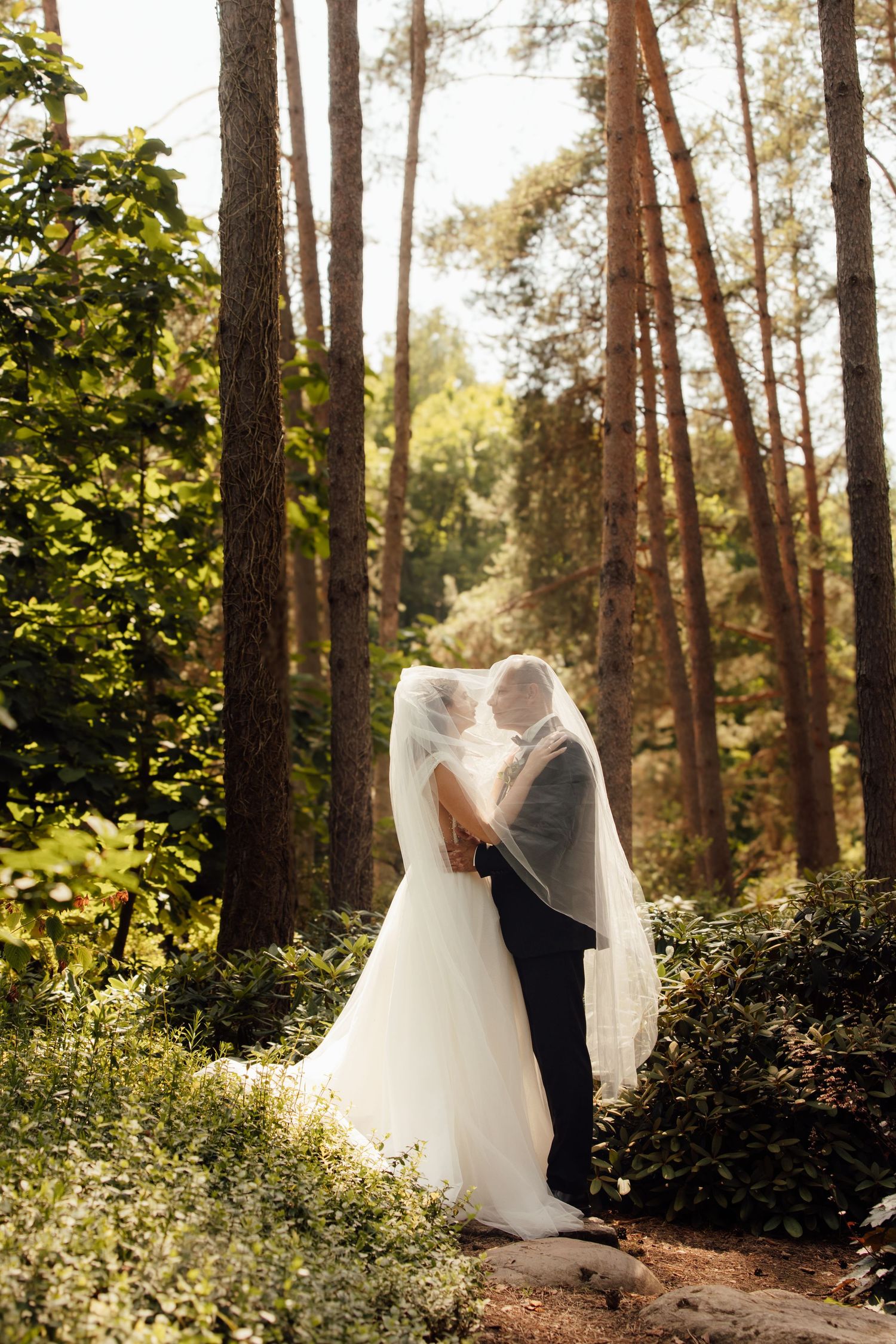 Bride and groom kissing under a flowing white veil in a sunlit forest wedding photo.