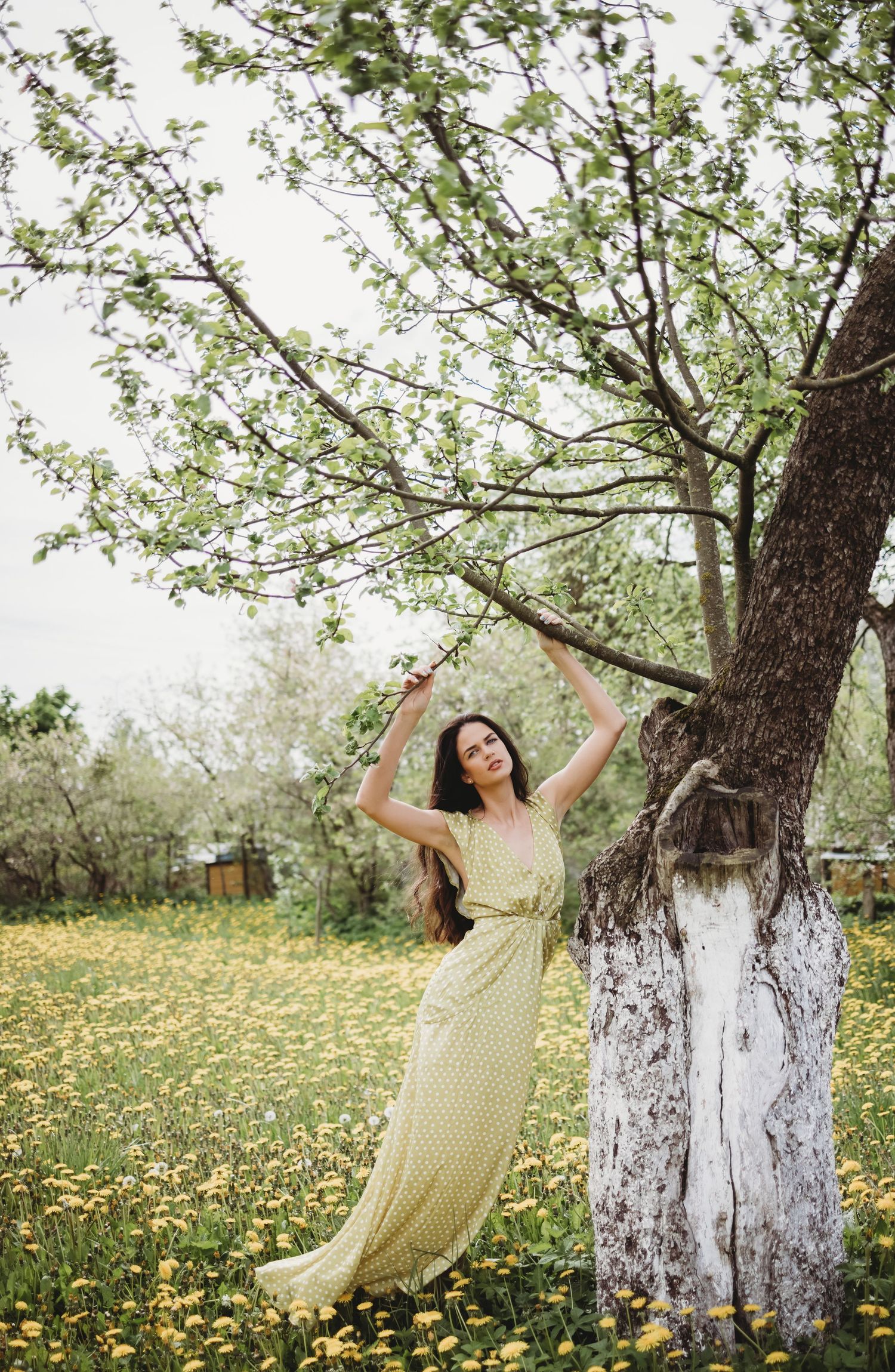 Woman in vintage dress poses playfully against white-barked trees in a dandelion field.