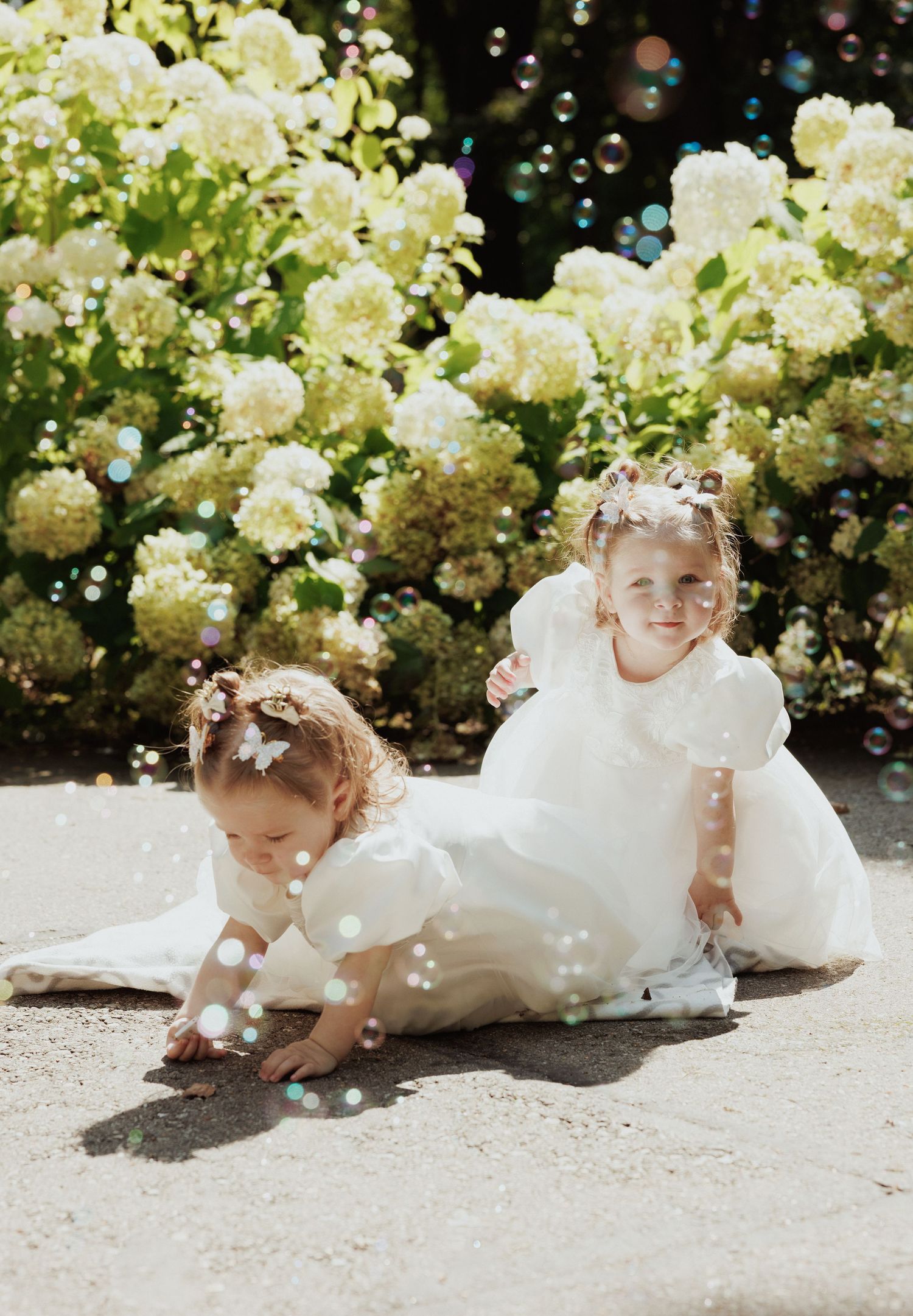 A young child in a white dress lays on the ground surrounded by blooming white roses in a dreamy garden setting.